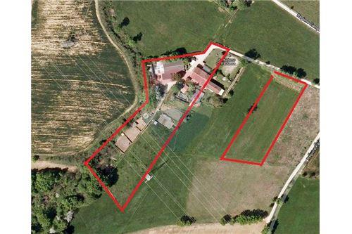 Villa Unifamiliare - Indipendente PIOSSASCO vendita    RE/MAX Freedom