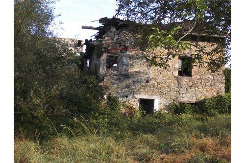 Rustico - Cascina PELLEGRINO PARMENSE vendita    RE/MAX Alfa