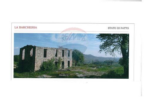 Rustico - Cascina PELLEGRINO PARMENSE vendita    RE/MAX Alfa