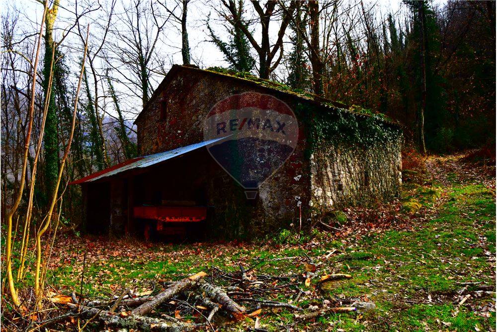 Rustico - Cascina BAGNI DI LUCCA vendita    RE/MAX Domus Consulting