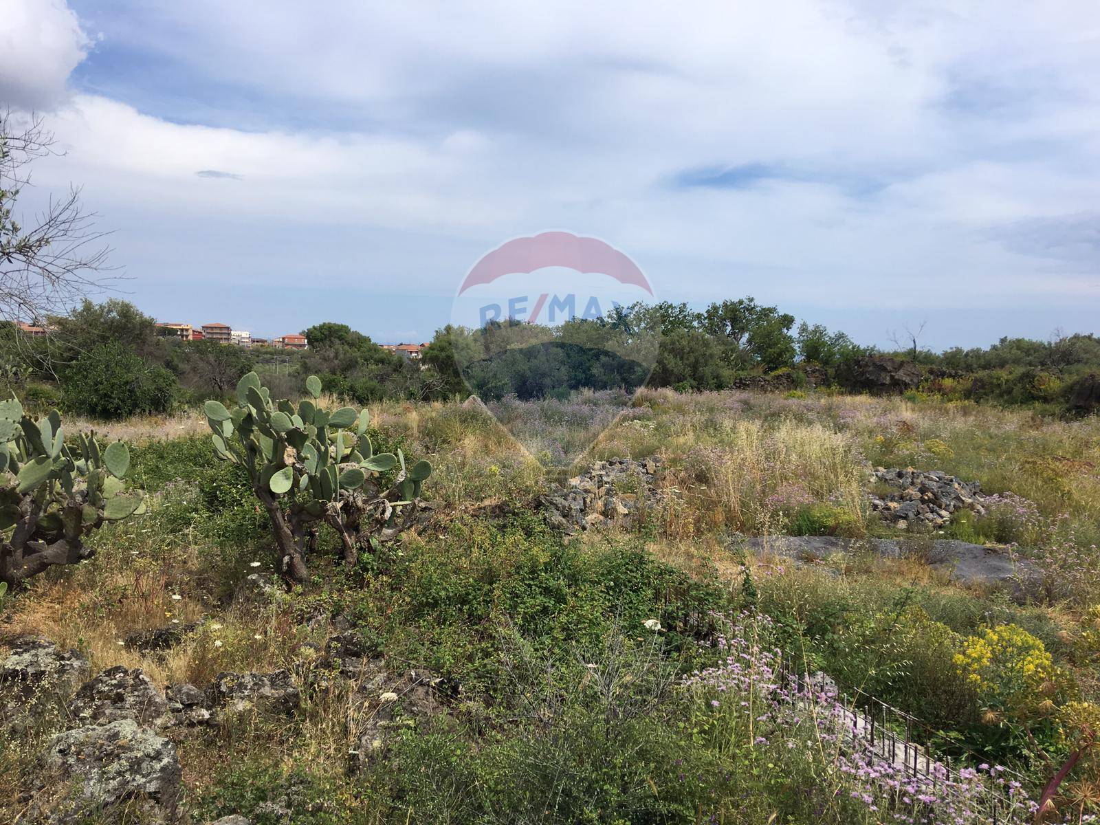 Terreno CATANIA vendita  San Giovanni Galermo  RE/MAX City Home