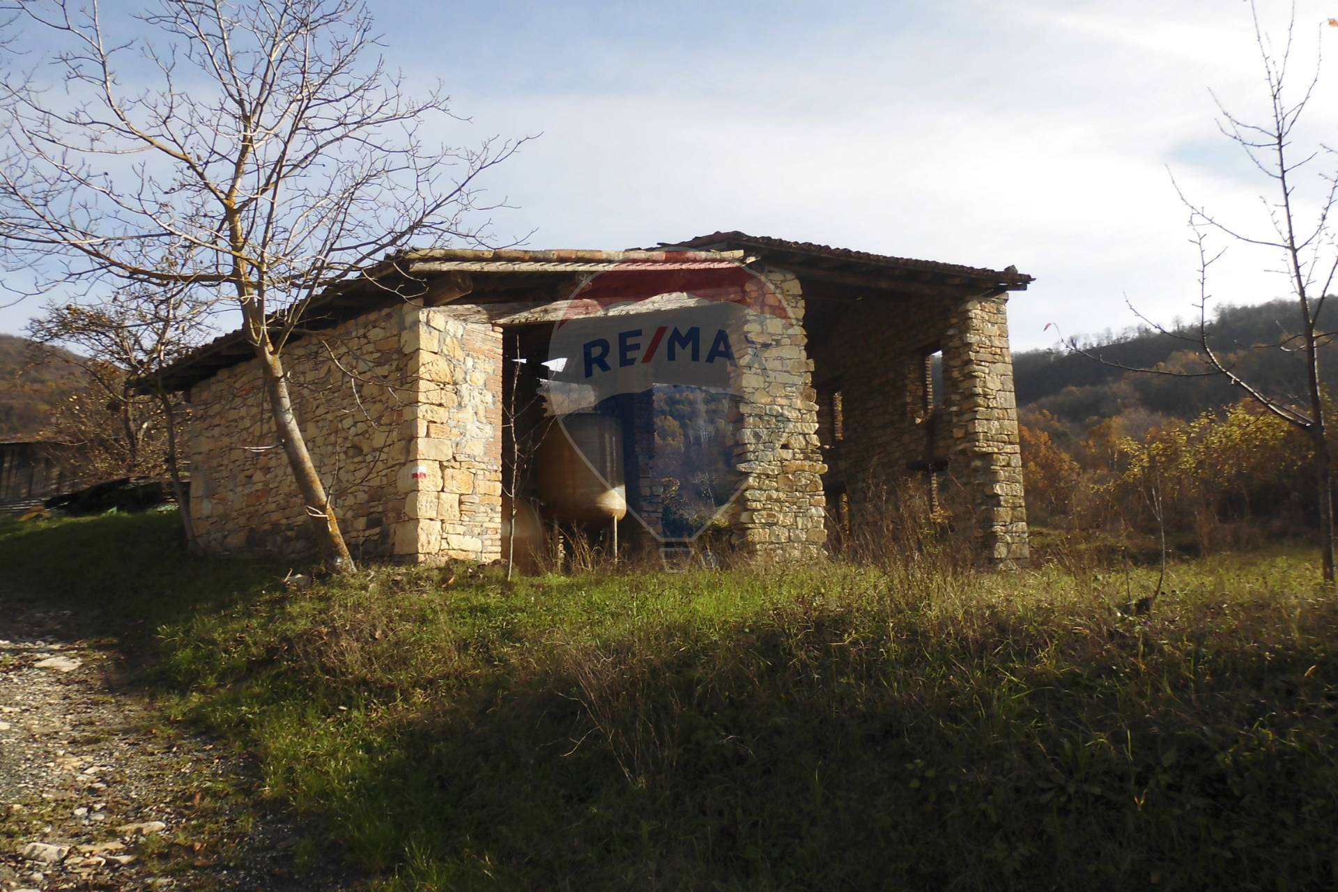 Rustico - Cascina PELLEGRINO PARMENSE vendita  Besozzola  RE/MAX Alfa