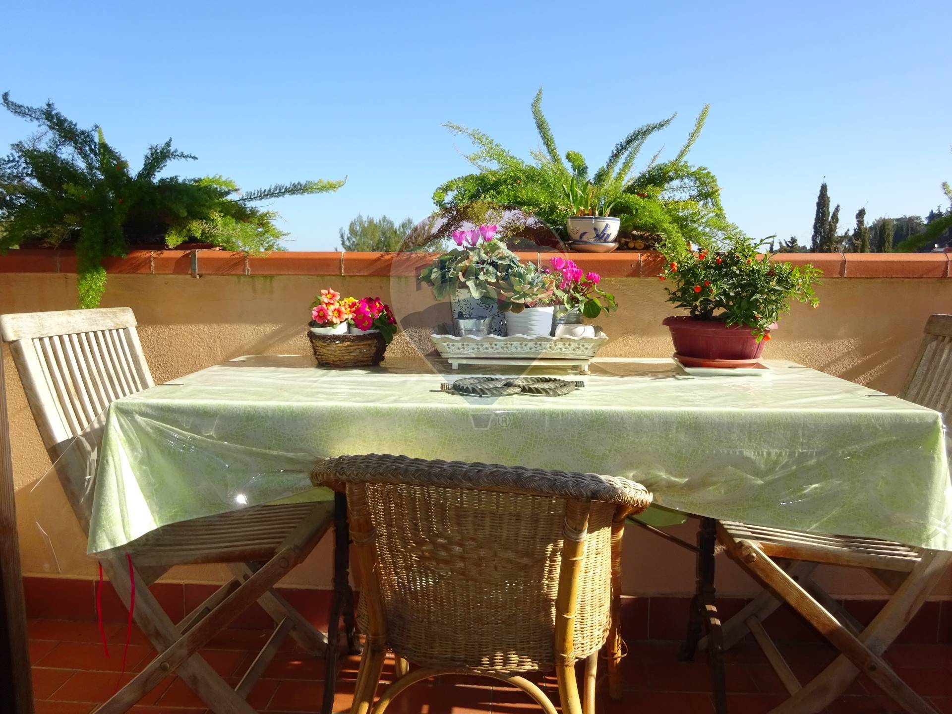 Appartamento MONTE ARGENTARIO vendita  Porto Santo Stefano - Pozzarello  RE/MAX Silver