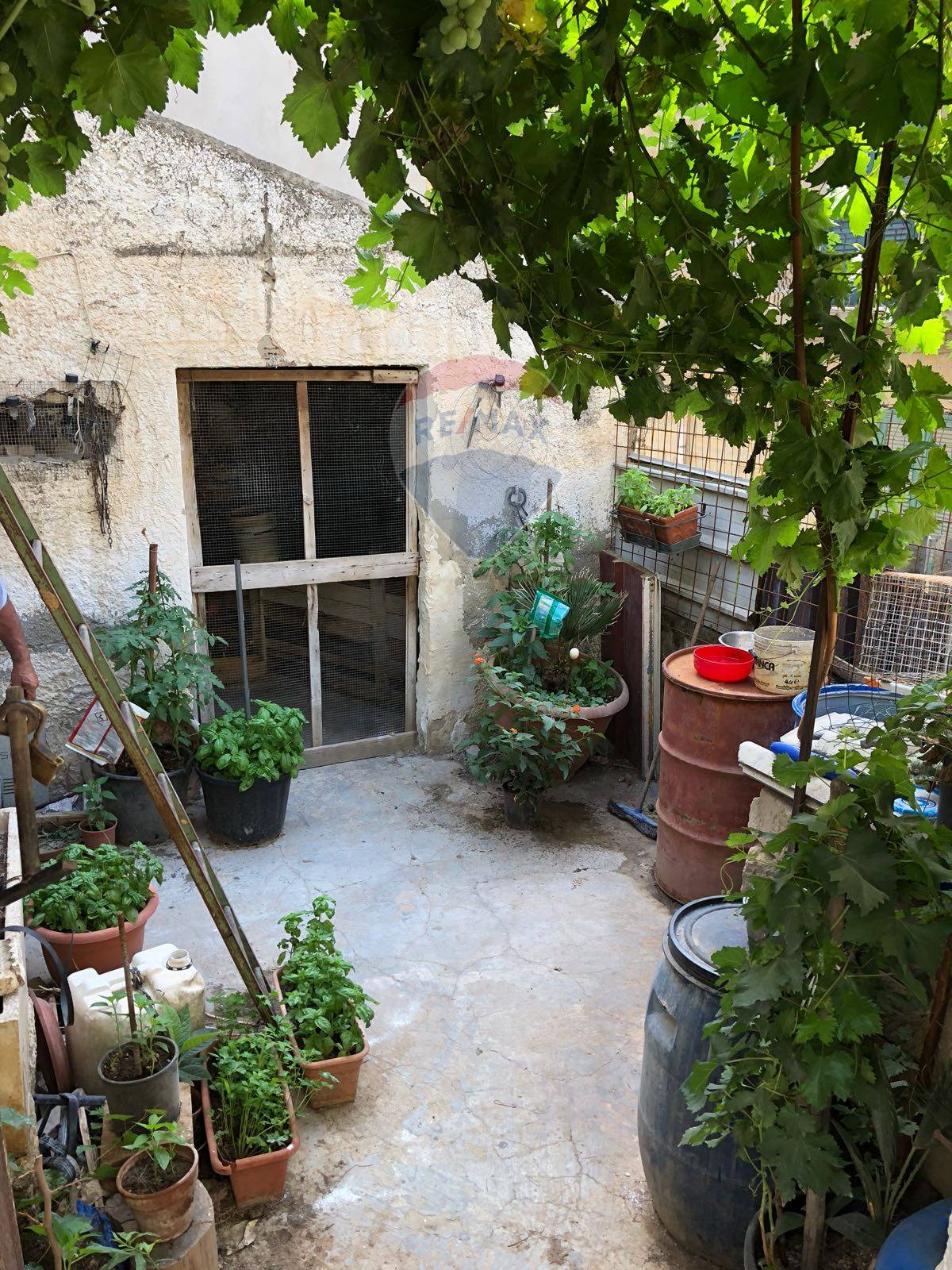 Villa Unifamiliare - Indipendente MAZZARINO vendita    RE/MAX White House