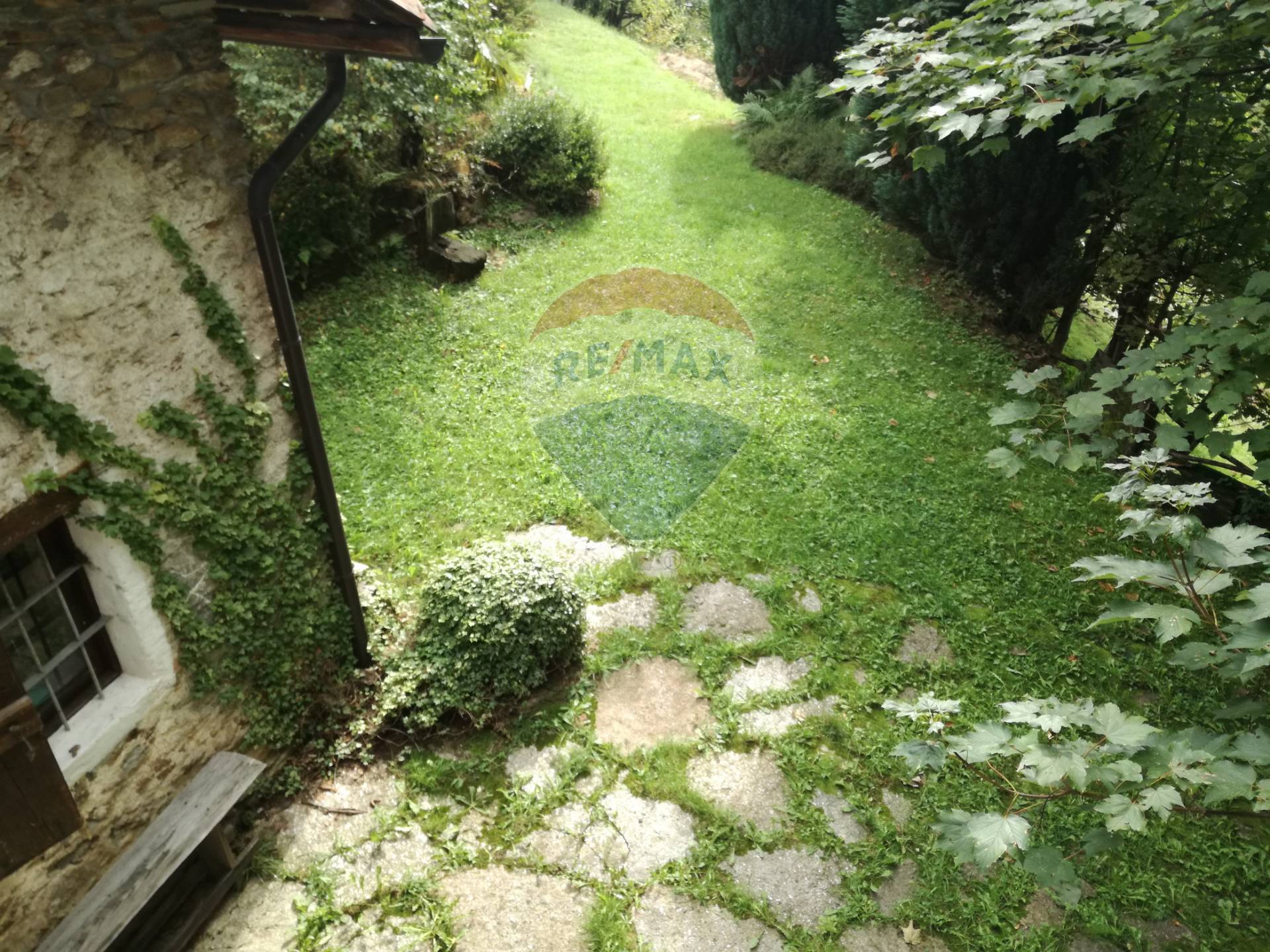  pollone vendita quart:  re/max unit