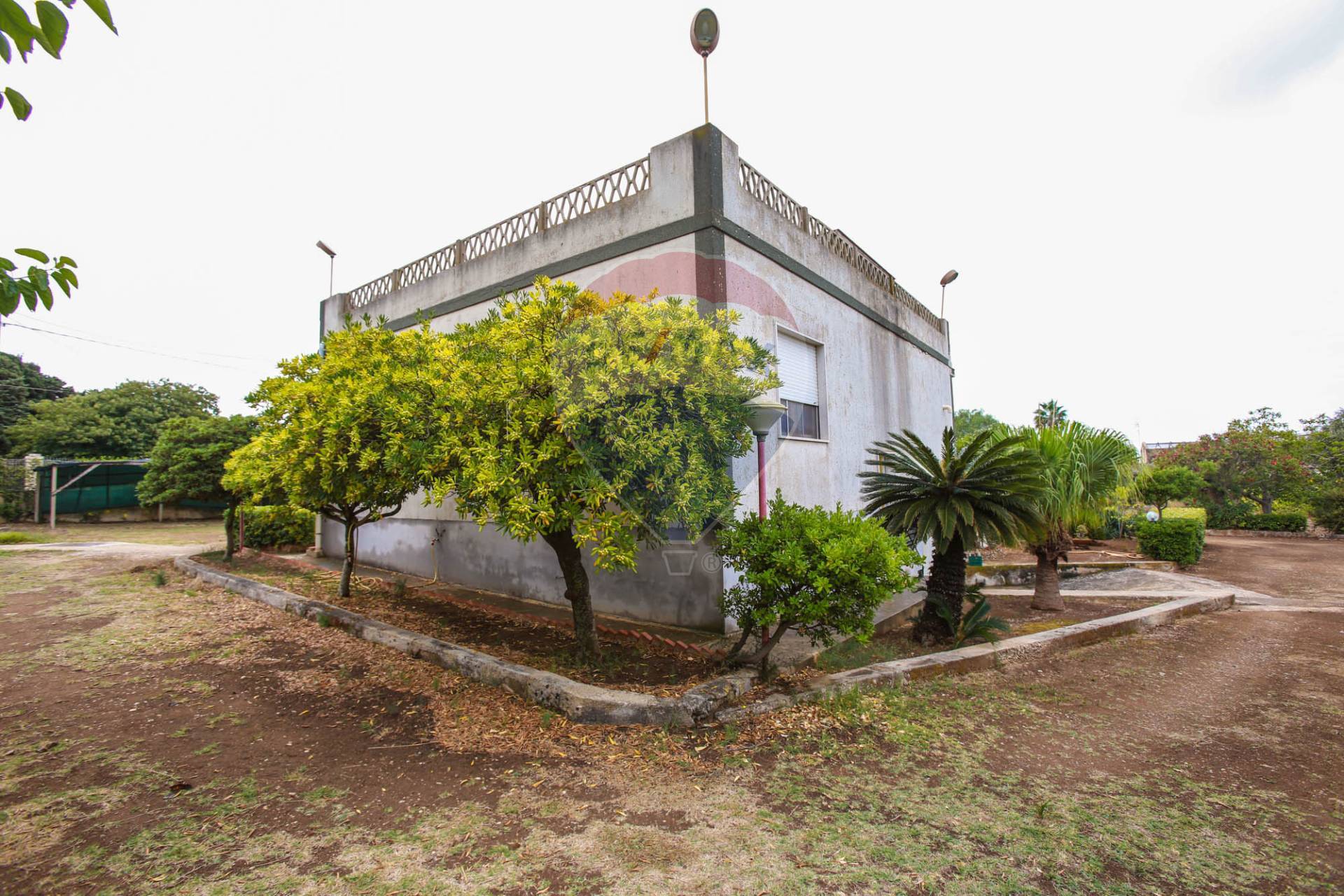  scicli vendita quart: playa grande re/max prima classe
