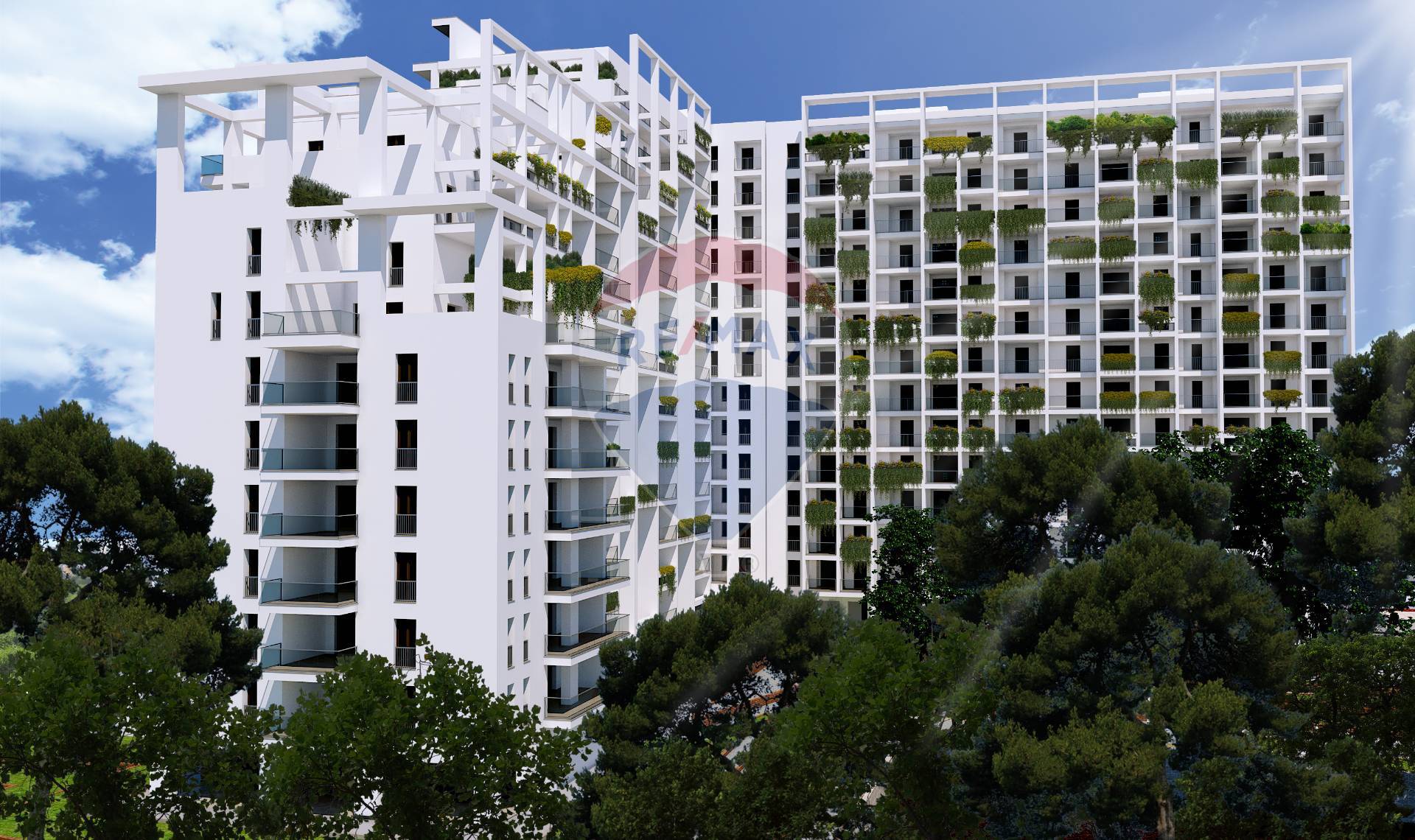 Appartamento BARI vendita  S. Pasquale  RE/MAX Acquachiara