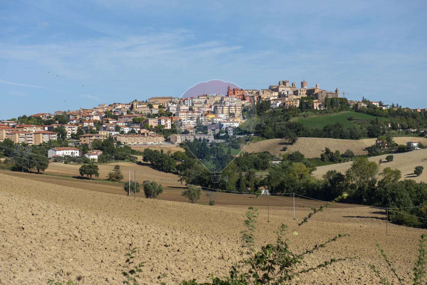 Appartamento FILOTTRANO vendita    RE/MAX Master Class