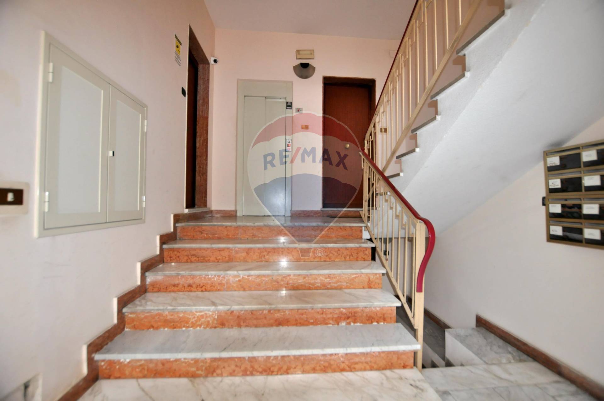 Appartamento CATANIA vendita  Borgo  RE/MAX Domus Nova