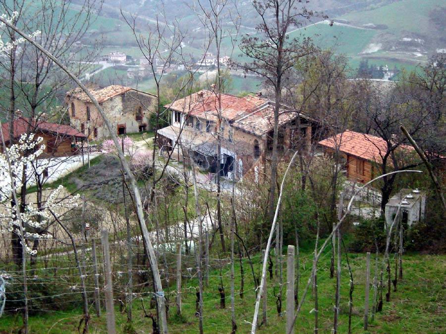 Rustico - Cascina VERNASCA vendita  Vigoleno  RE/MAX Alfa