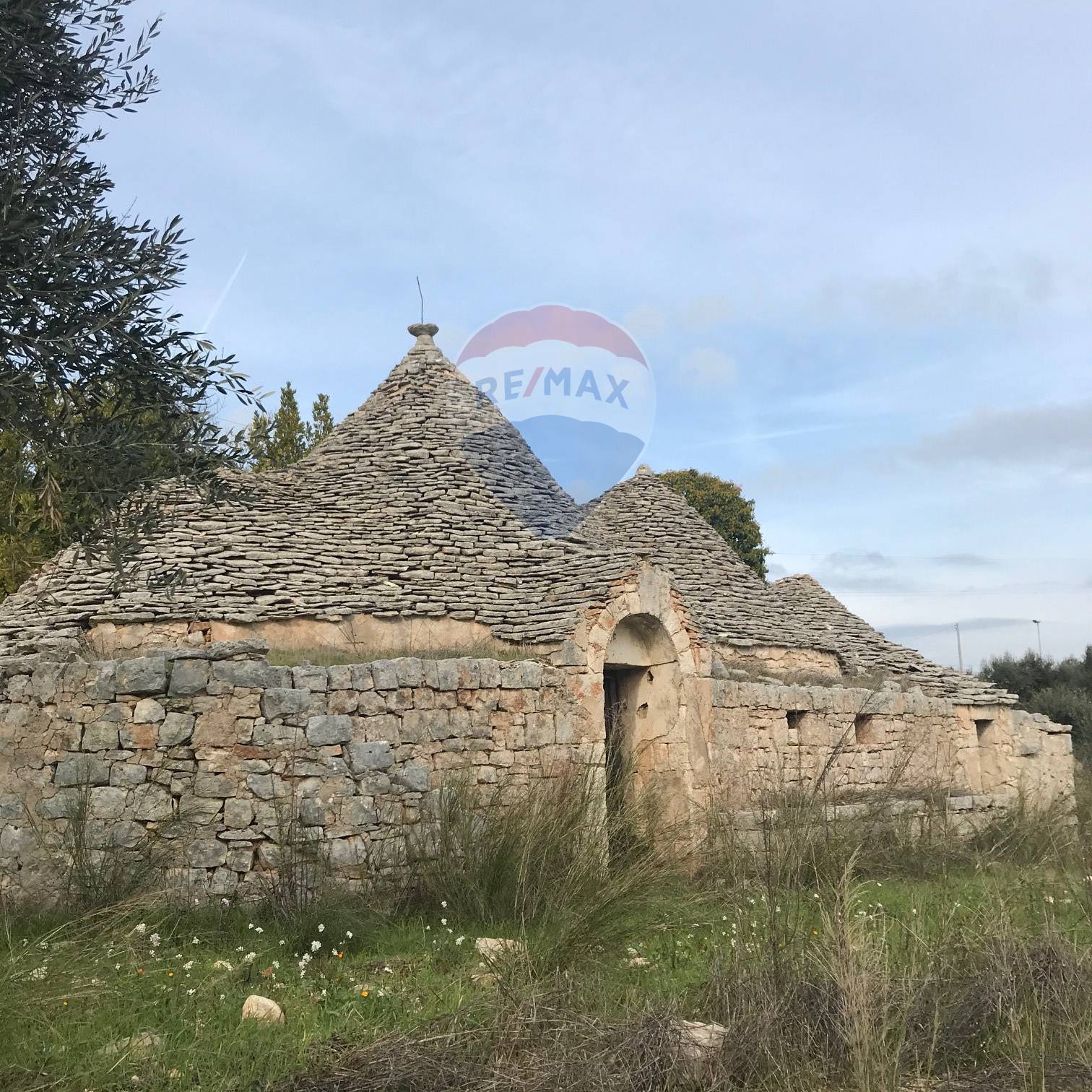  castellana grotte vendita quart:  re/max oltre