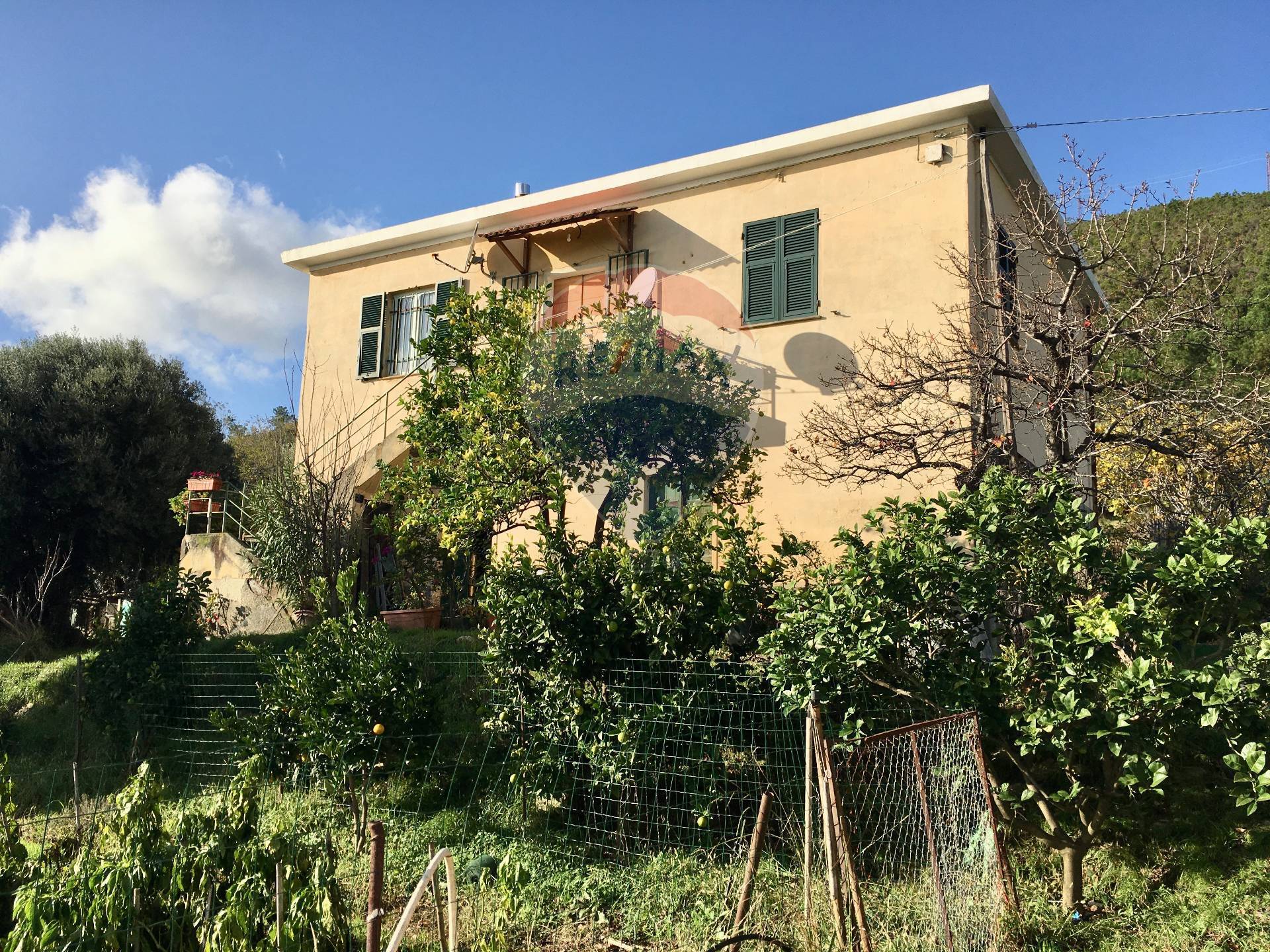 Villa Unifamiliare - Indipendente VARAZZE vendita    RE/MAX Med