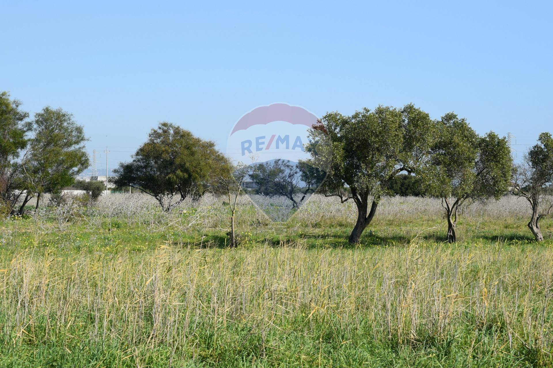 Terreno CATANIA vendita  Catania Fontanarossa  RE/MAX White House