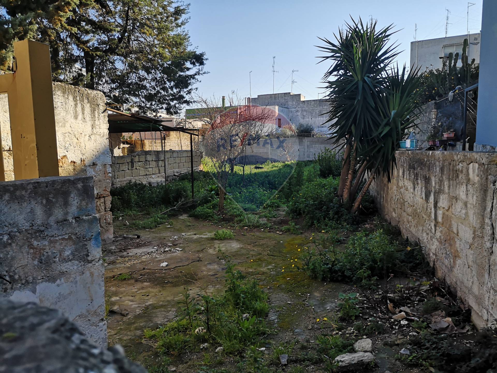 Villa Unifamiliare - Indipendente BARI vendita  Palese  RE/MAX Acquachiara