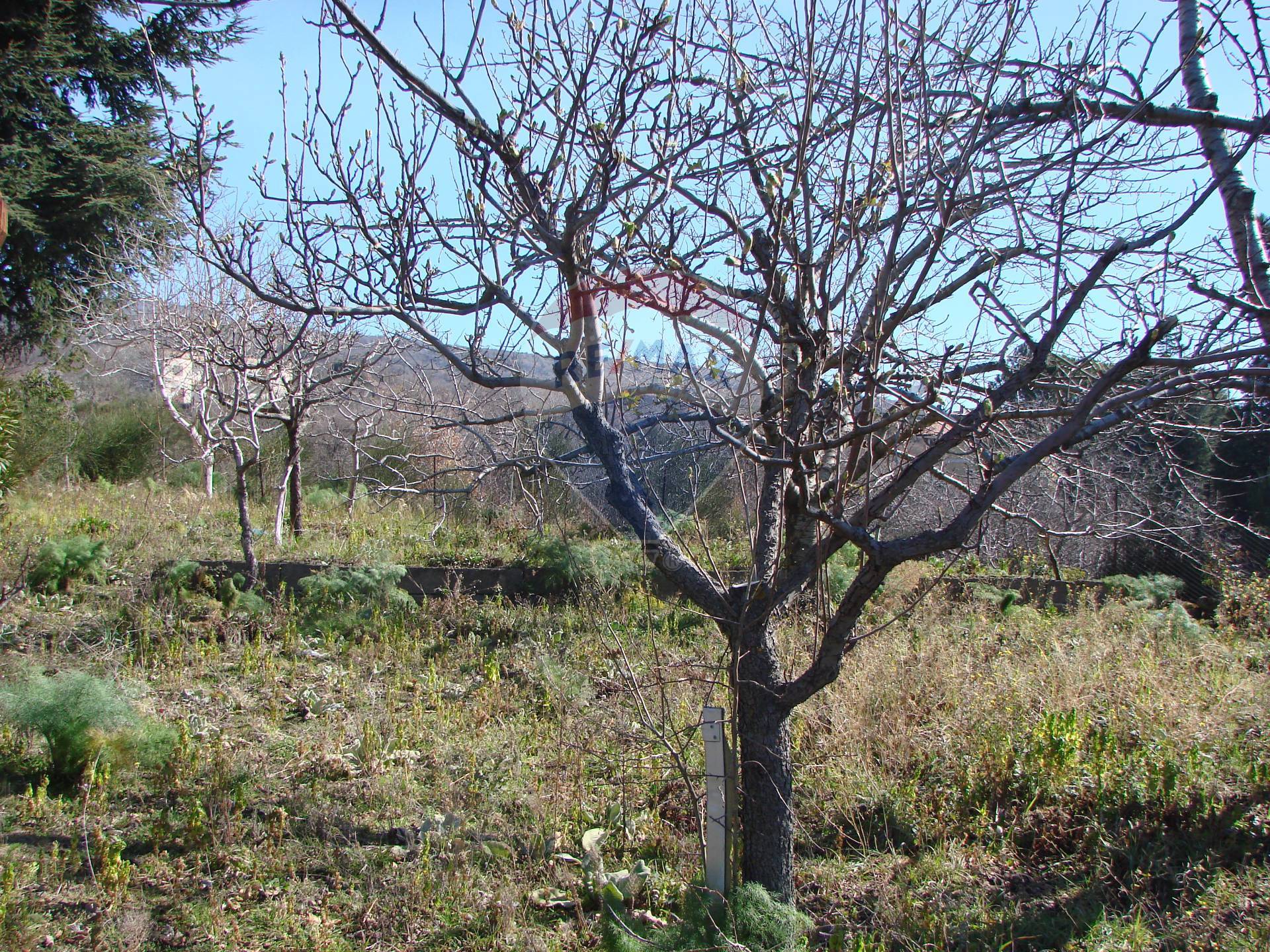 Rustico - Cascina BIANCAVILLA vendita    RE/MAX White House