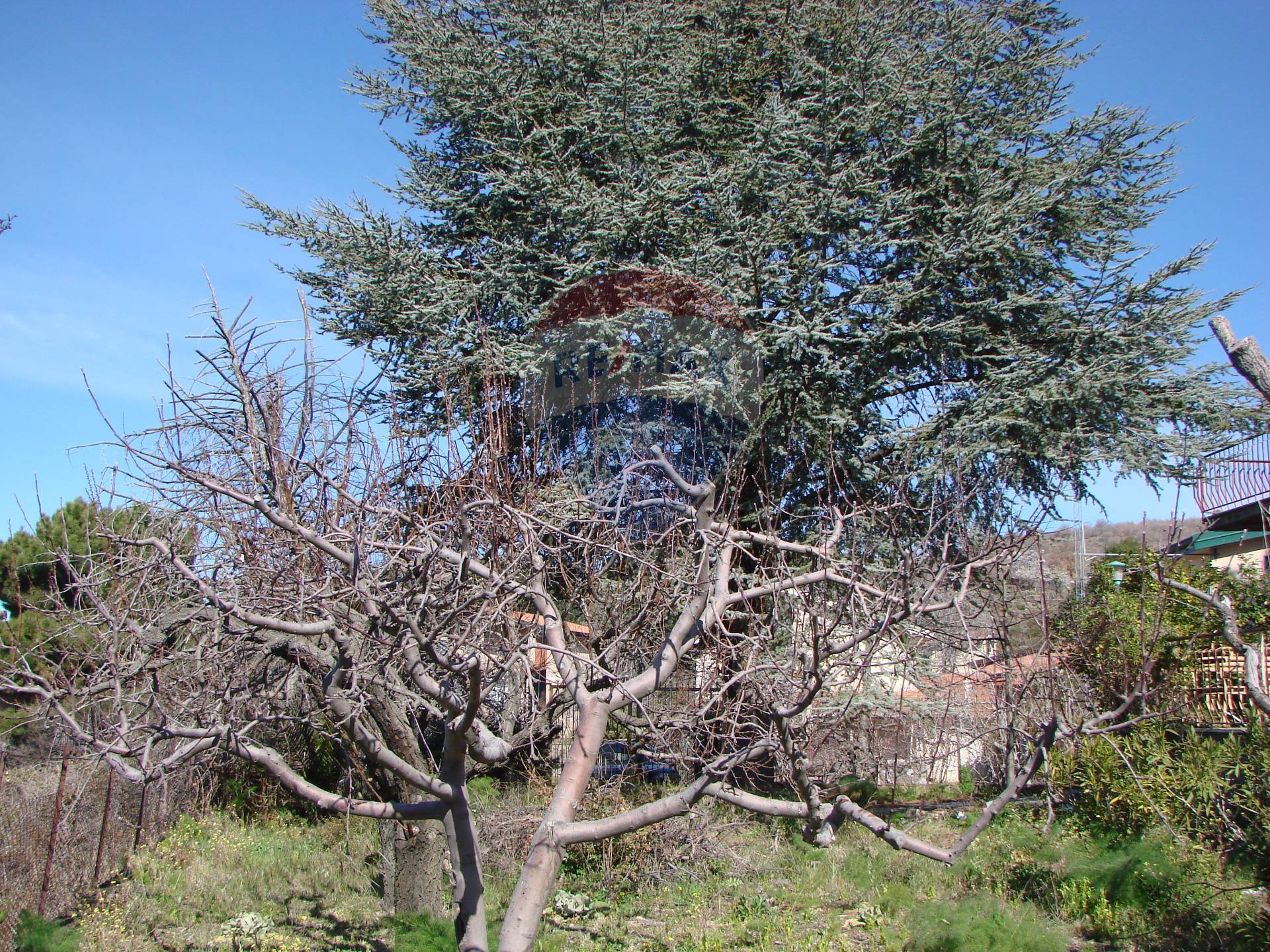Rustico - Cascina BIANCAVILLA vendita    RE/MAX White House