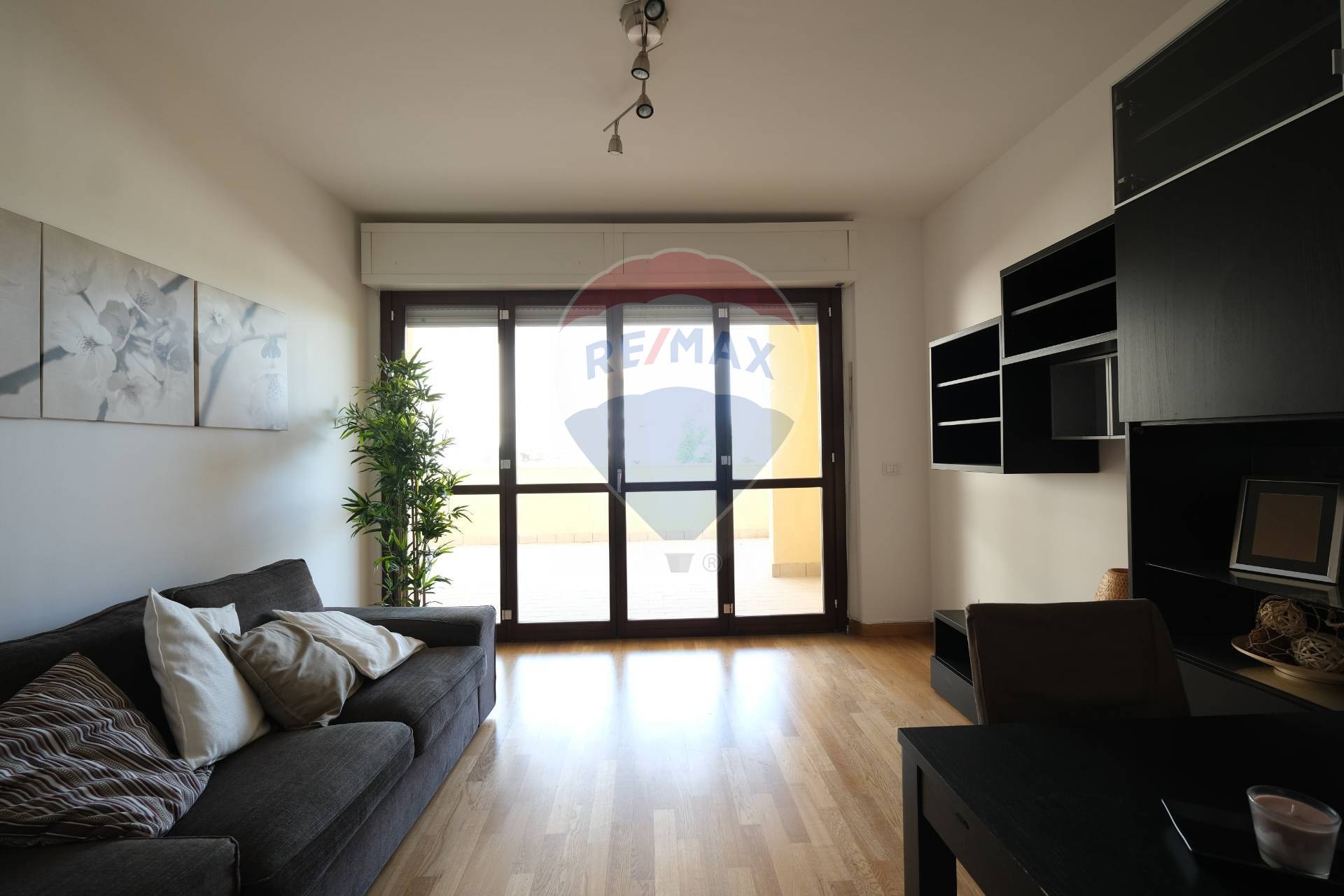Appartamento ROMA affitto    RE/MAX Titanus
