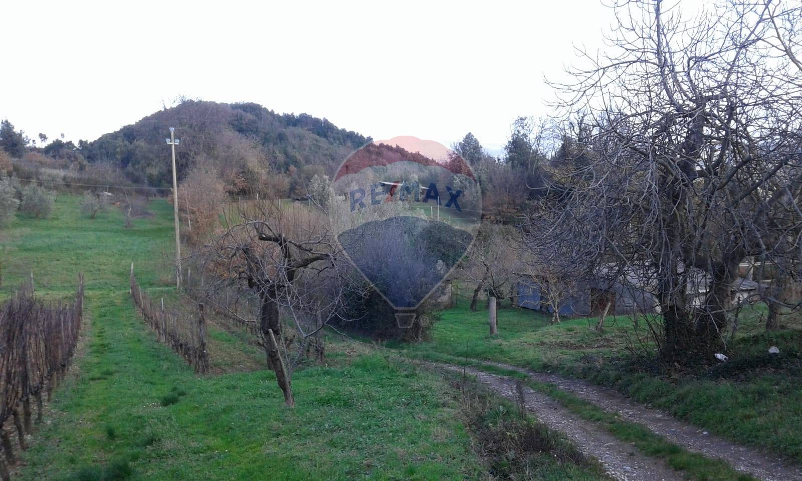 Villa Bifamiliare MONTECATINI VAL DI CECINA vendita  Sassa  RE/MAX Premiere