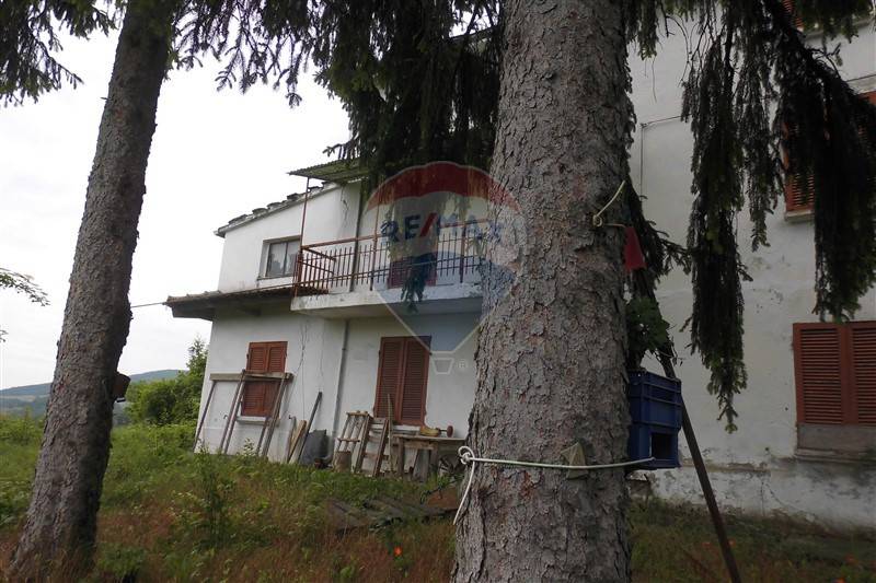 Rustico - Cascina PELLEGRINO PARMENSE vendita    RE/MAX Alfa