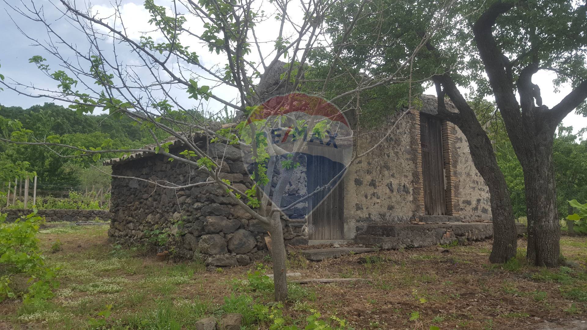Rustico - Cascina SANTA MARIA DI LICODIA vendita    RE/MAX CasAffare
