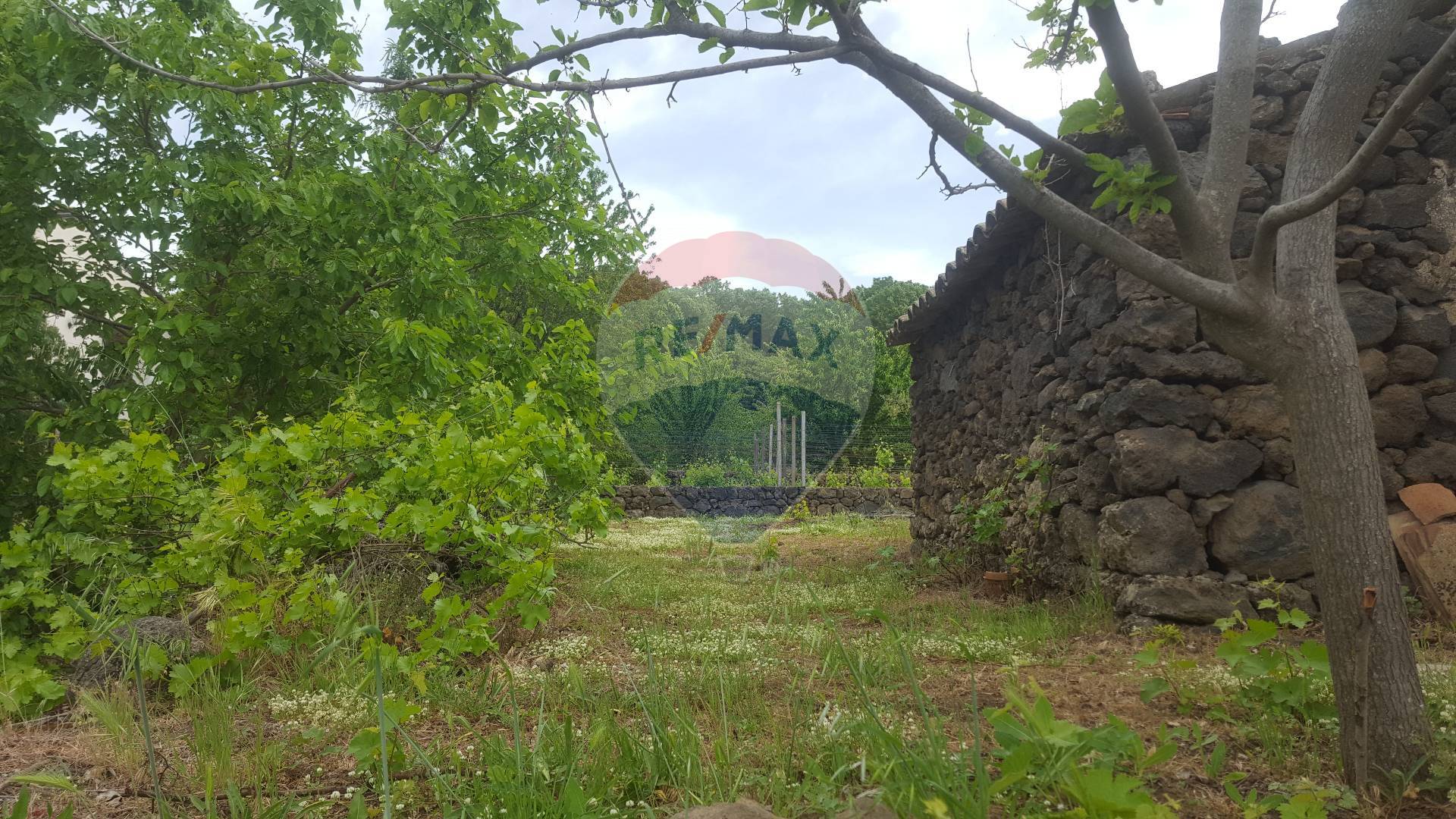Rustico - Cascina SANTA MARIA DI LICODIA vendita    RE/MAX CasAffare