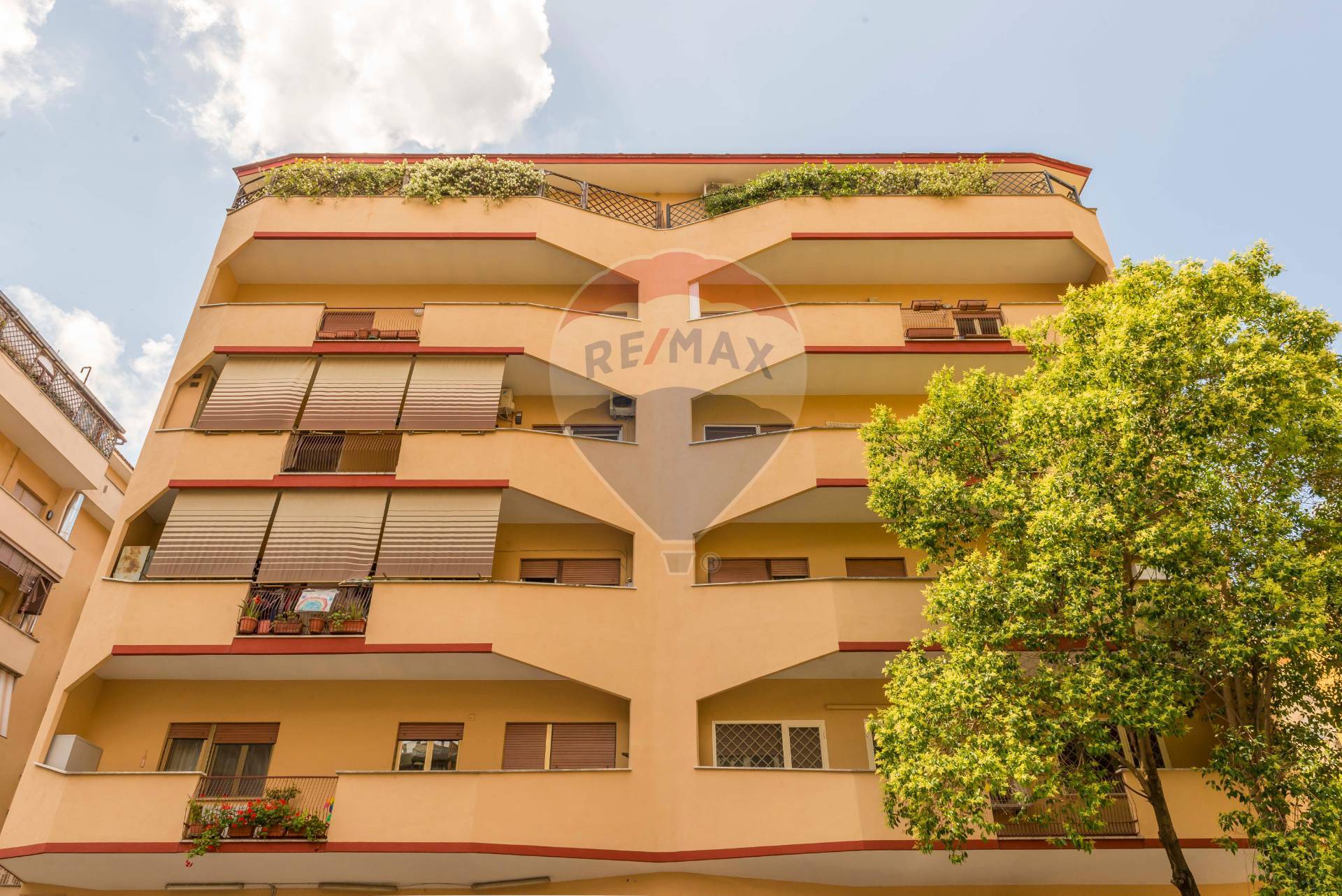 Appartamento ROMA vendita  Appio Claudio  RE/MAX Opzione Casa