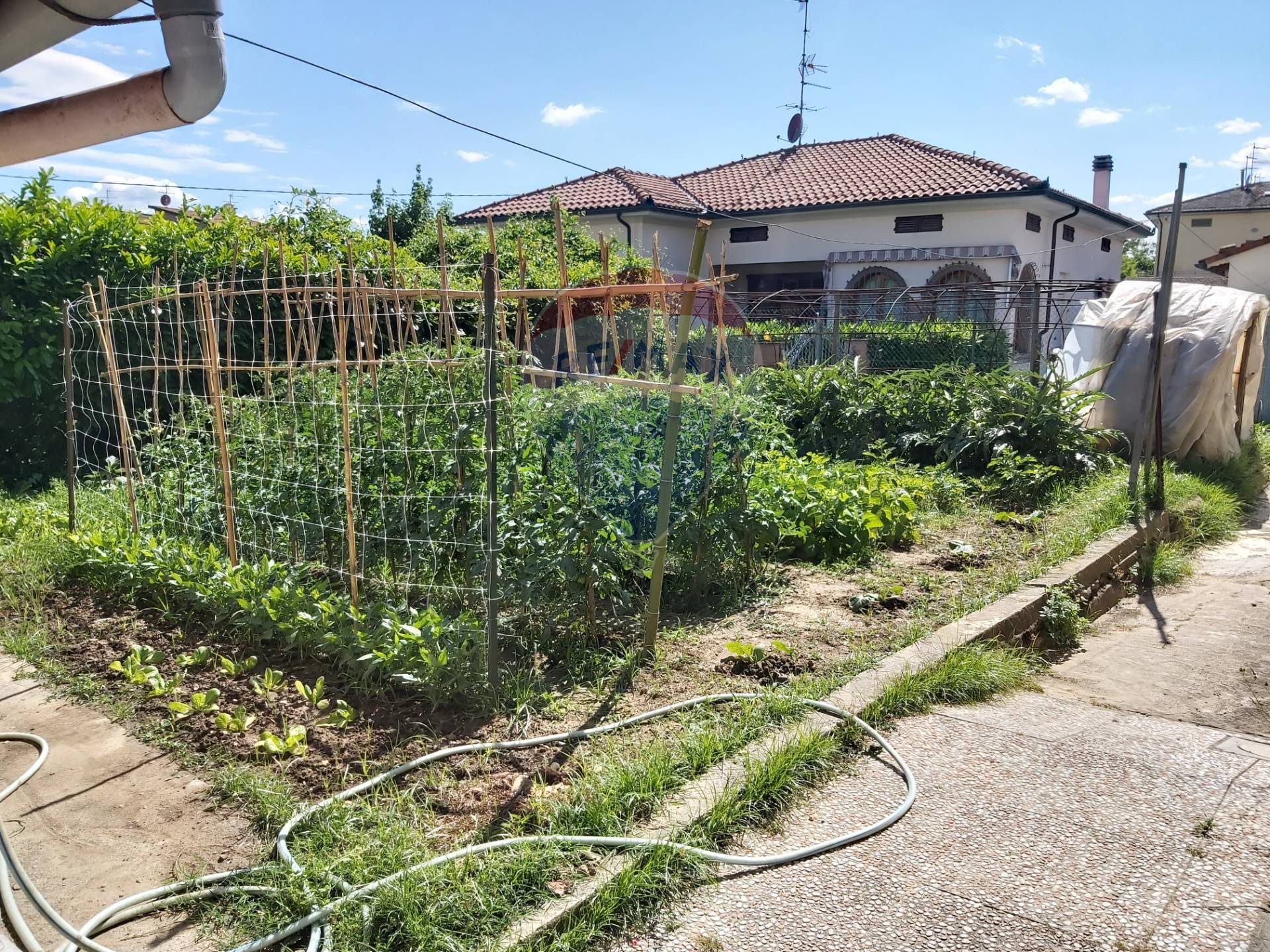 Appartamento SAN MINIATO vendita    RE/MAX Ideale