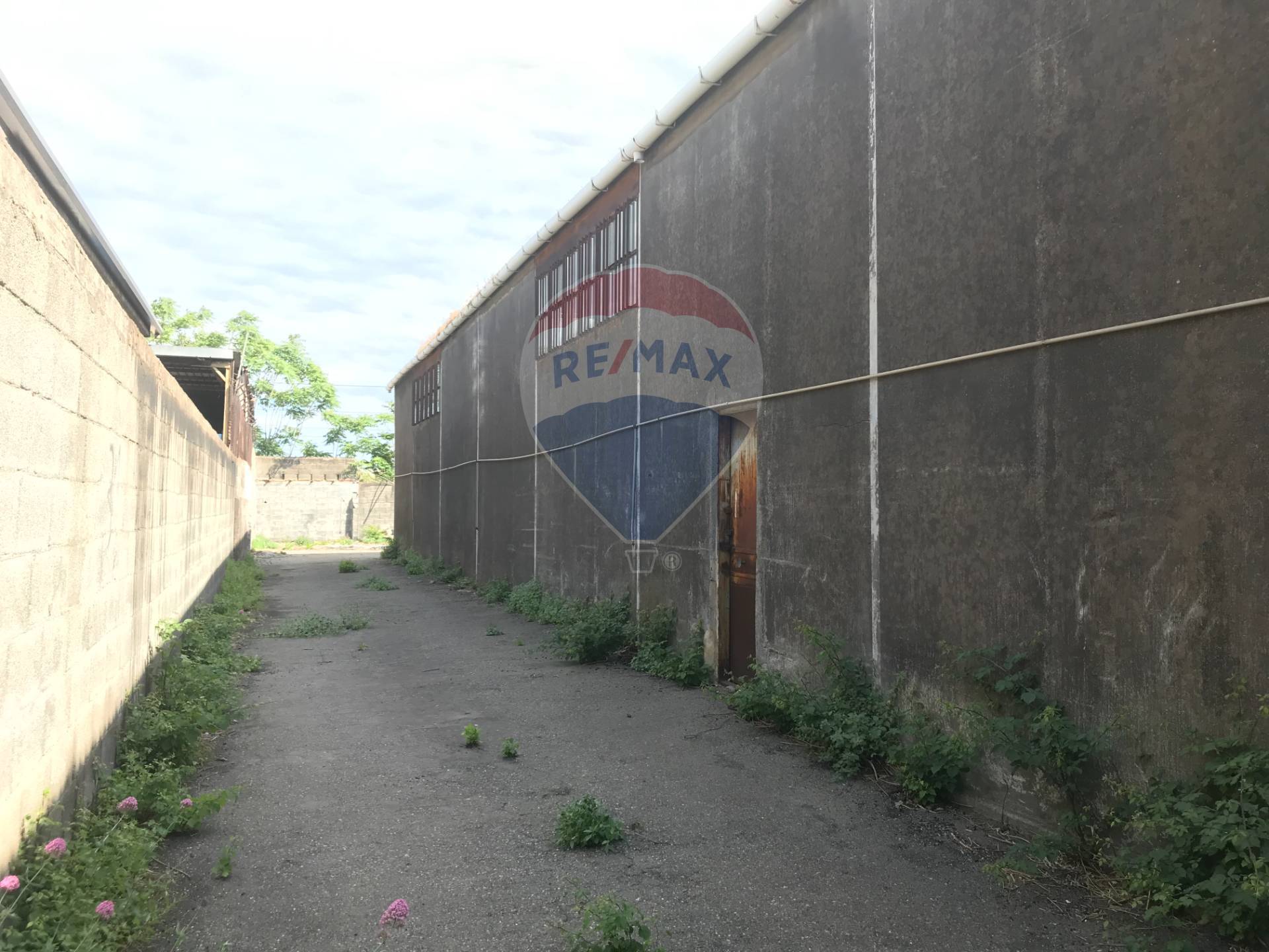 Capannone Commerciale CATANIA vendita  Zona periferica  RE/MAX Estates