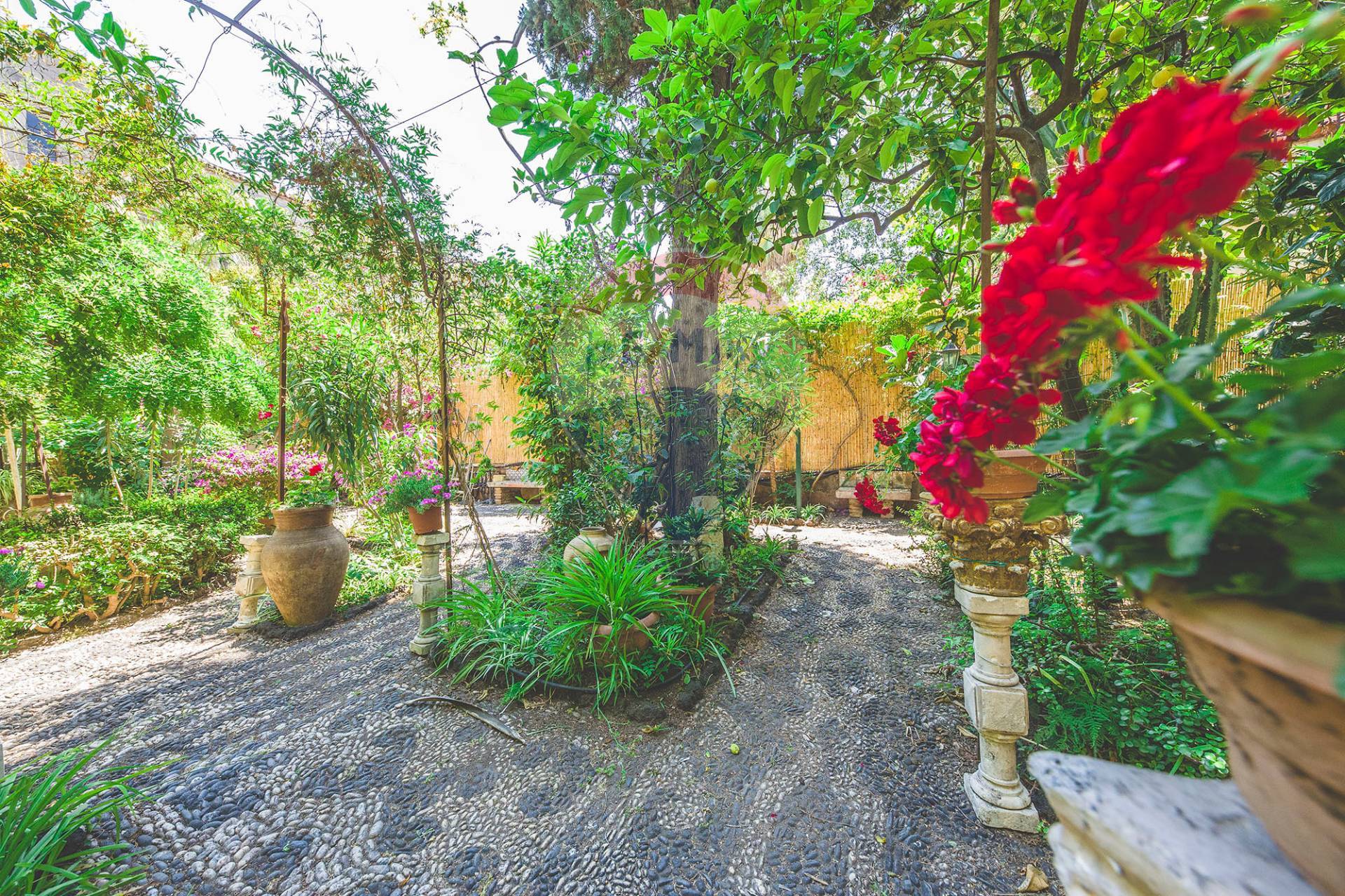 Villa Unifamiliare - Indipendente CATANIA vendita  Via Etnea - via Umberto  RE/MAX City Home