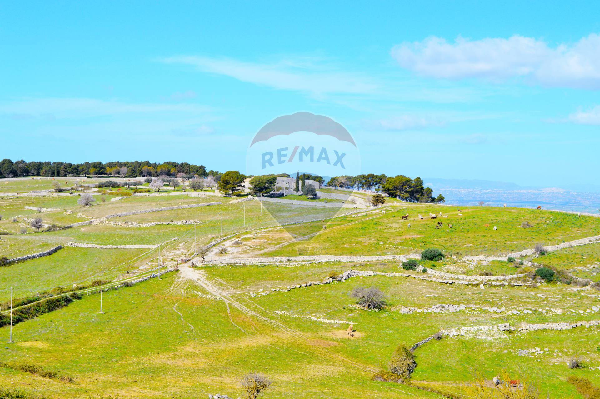 Rustico - Cascina MONTEROSSO ALMO vendita    RE/MAX Prima Classe