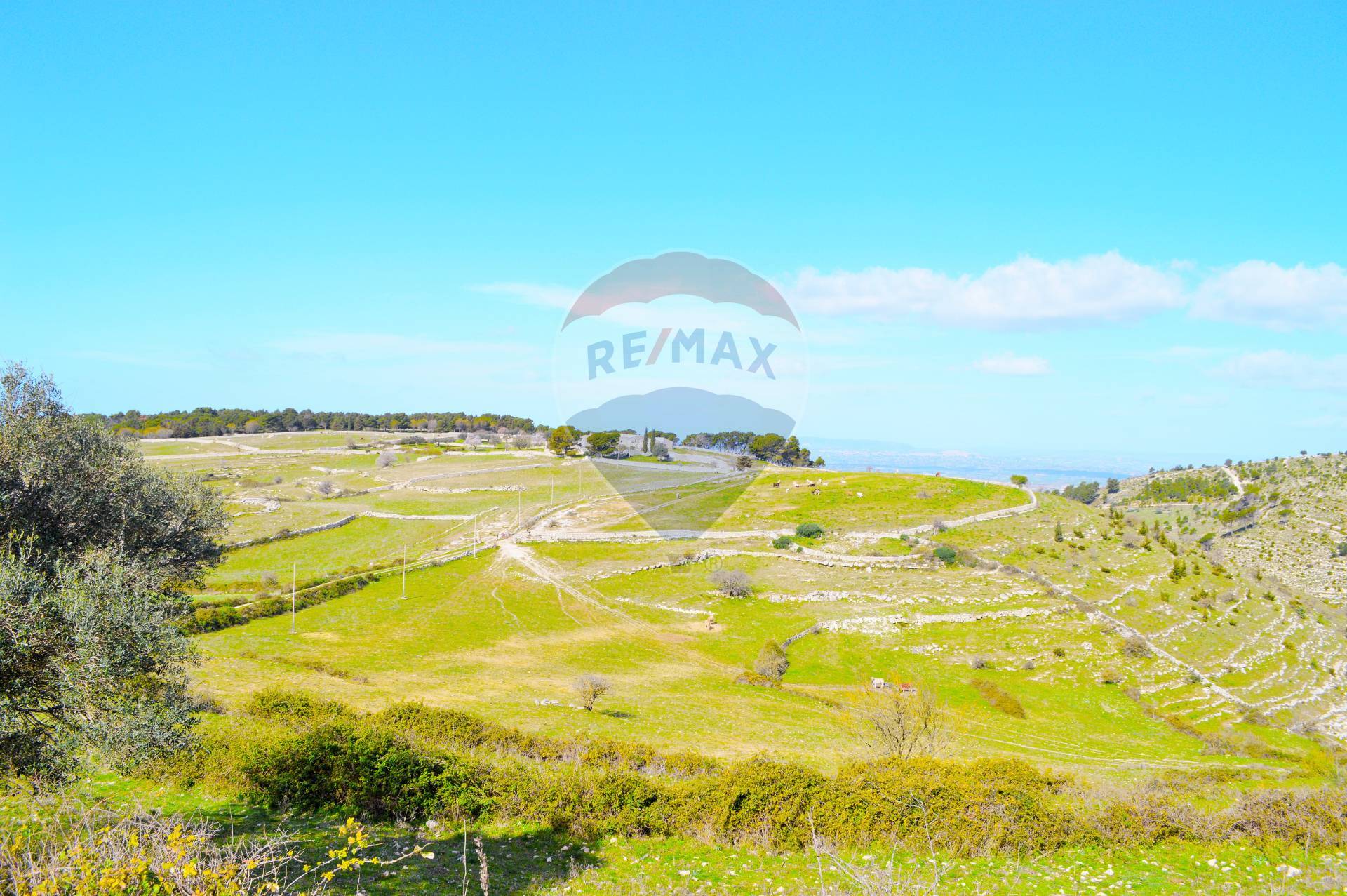 Rustico - Cascina MONTEROSSO ALMO vendita    RE/MAX Prima Classe