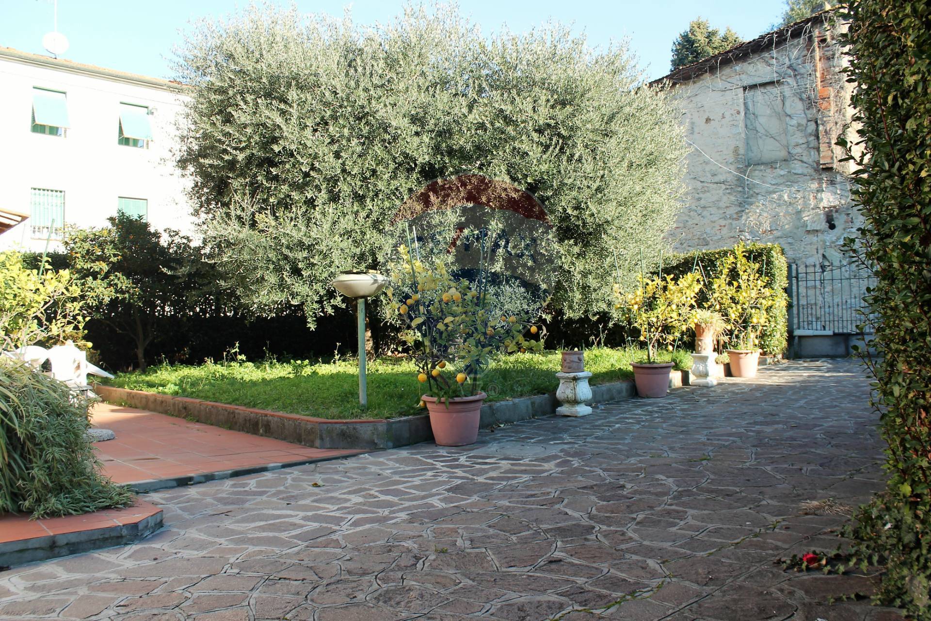 Villa MASSAROSA vendita  Quiesa  RE/MAX Quality House