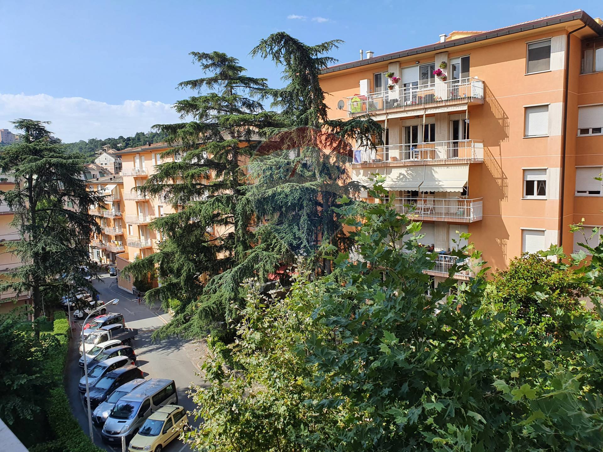 Appartamento ARENZANO affitto  Centro  RE/MAX Med