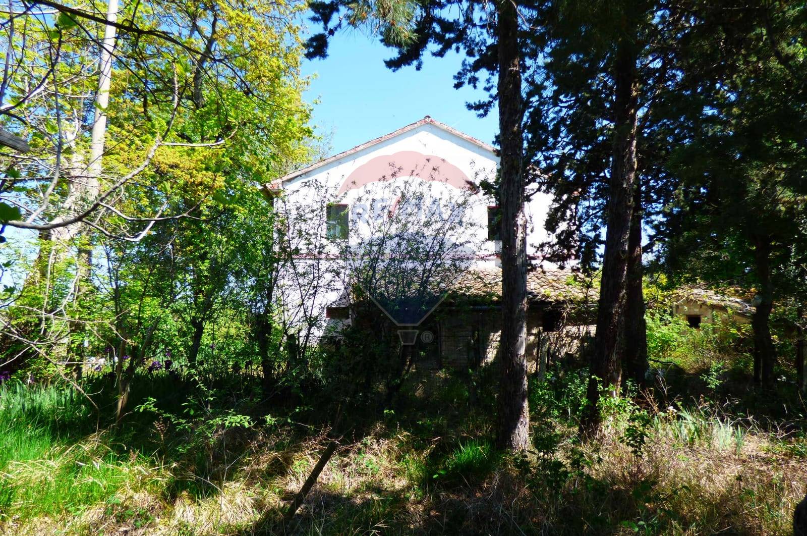 Rustico - Cascina MONTE SAN VITO vendita    RE/MAX Master Class