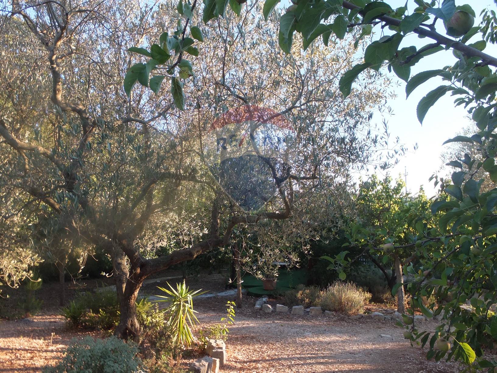 Villa Unifamiliare - Indipendente LOCOROTONDO vendita    RE/MAX Acquachiara