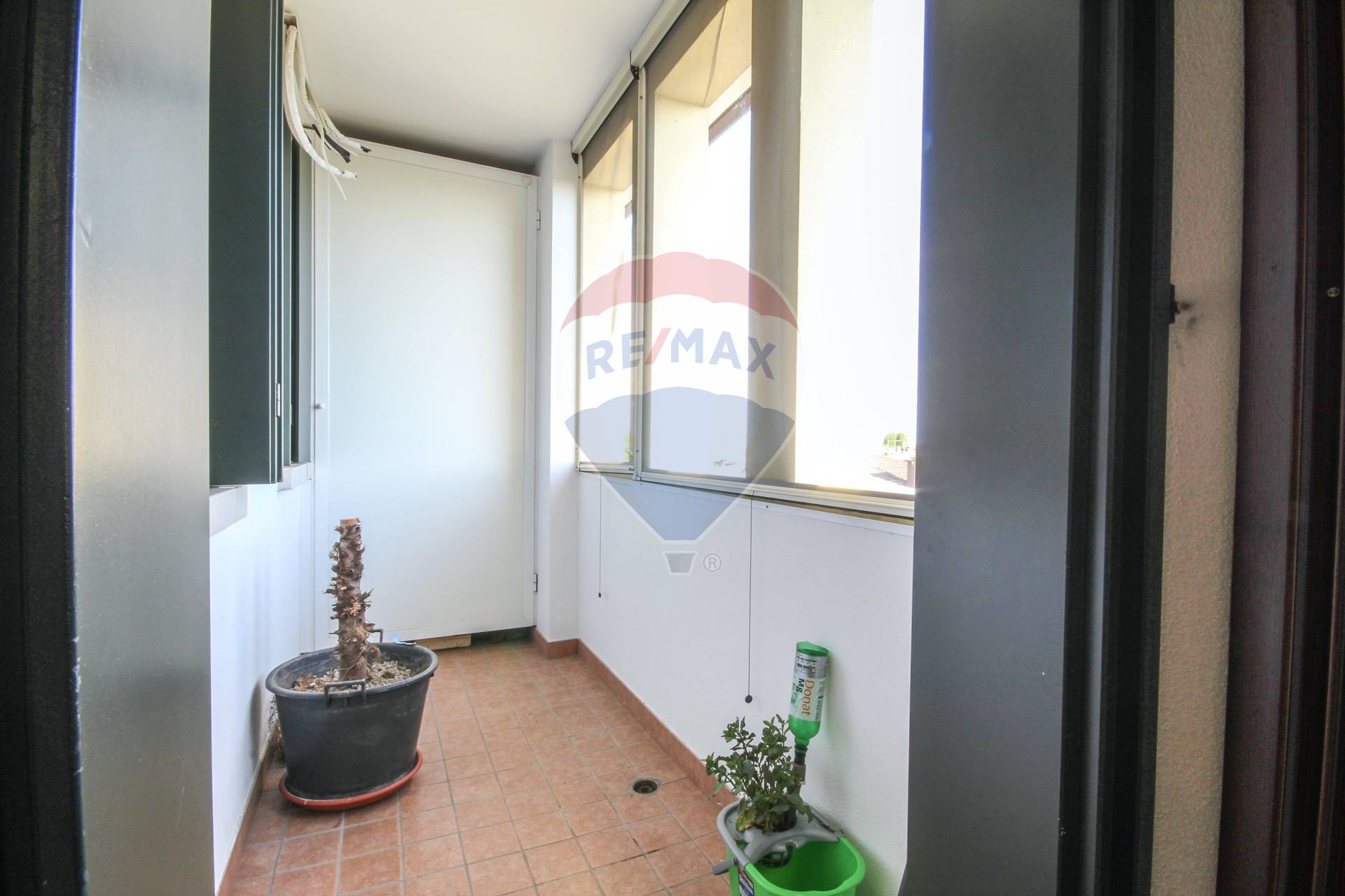 Appartamento VILLA DEL CONTE vendita    RE/MAX Puntocase