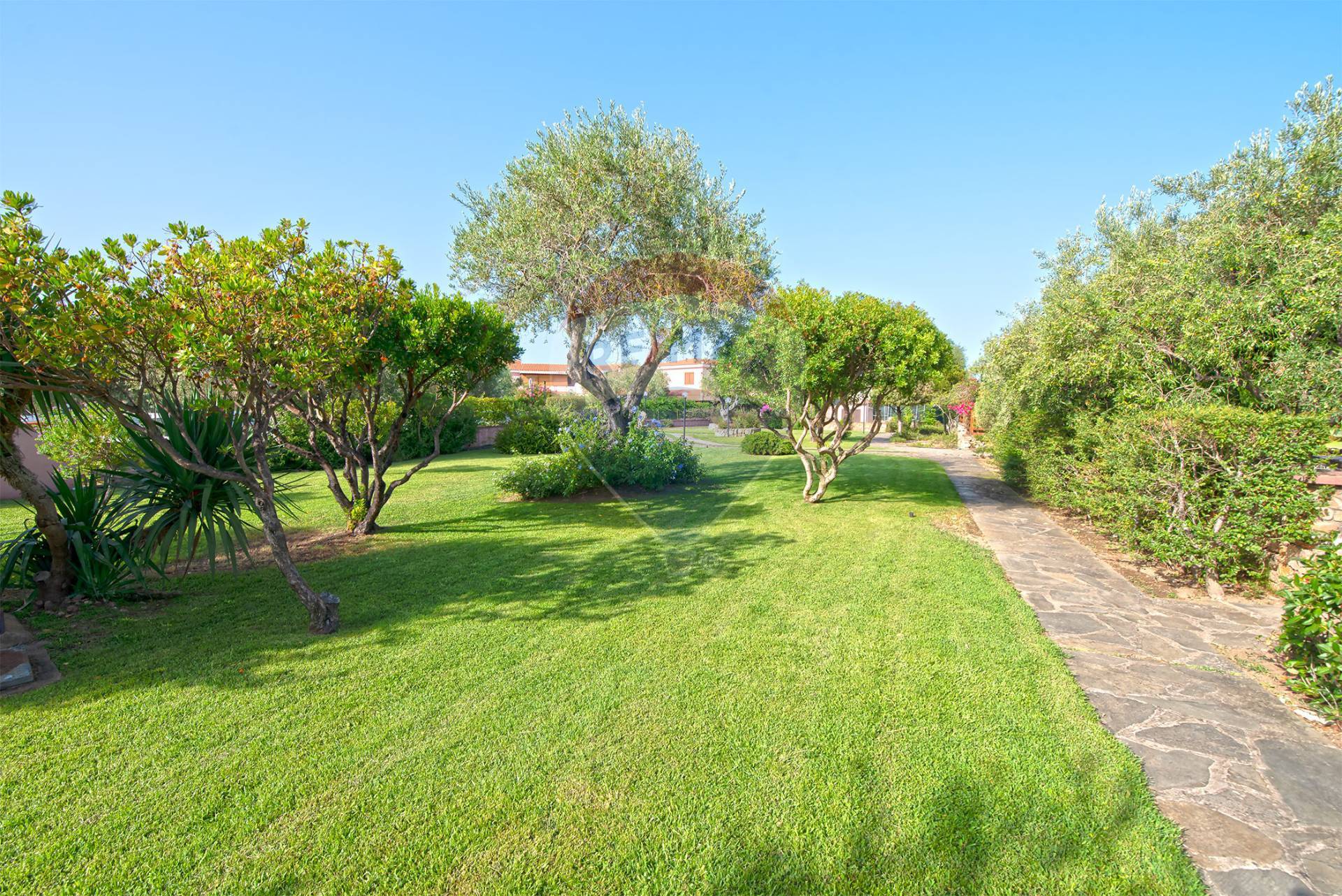 Appartamento ITALIA vendita    RE/MAX Dream