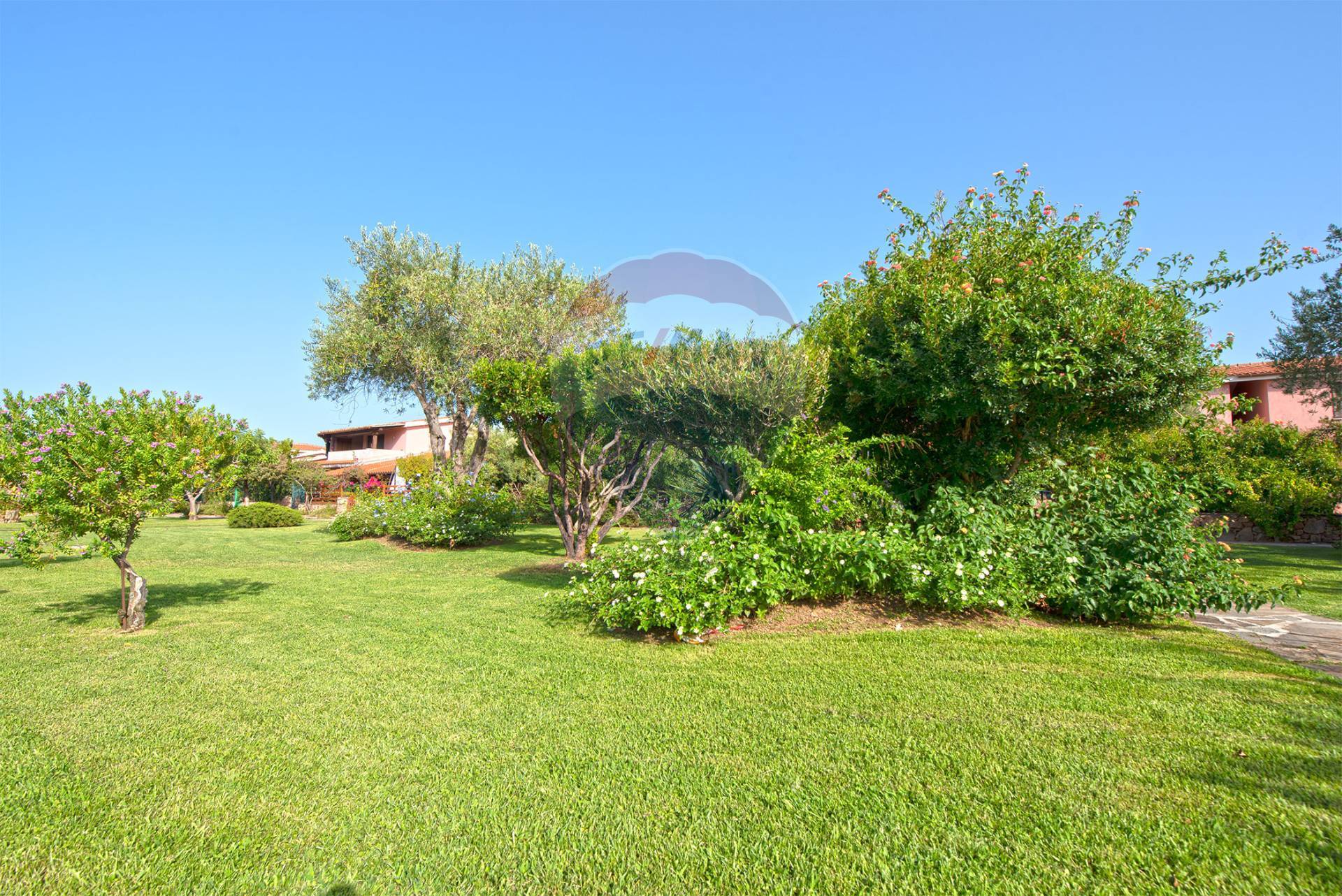 Appartamento ITALIA vendita    RE/MAX Dream