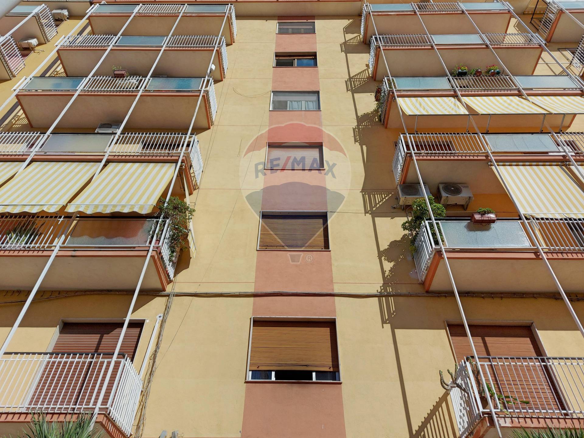 Appartamento CATANIA vendita  Picanello  RE/MAX Domus Nova