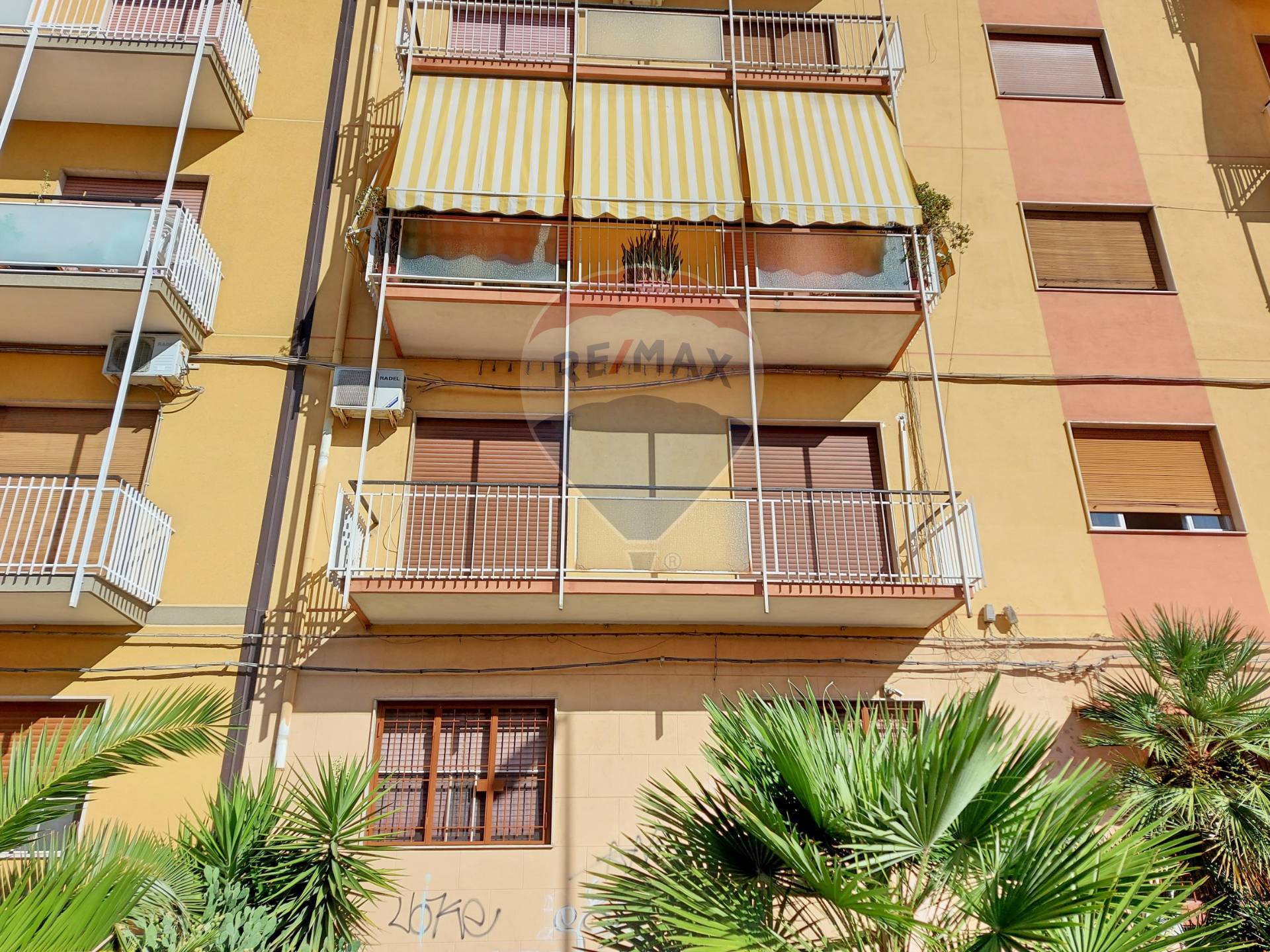 Appartamento CATANIA vendita  Picanello  RE/MAX Domus Nova