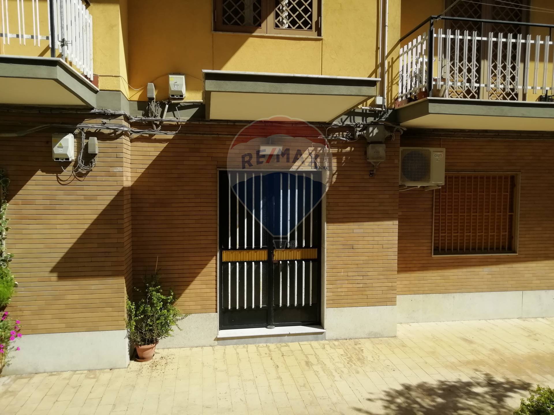 Appartamento CATANIA vendita  Viale Rapisardi  RE/MAX City Home