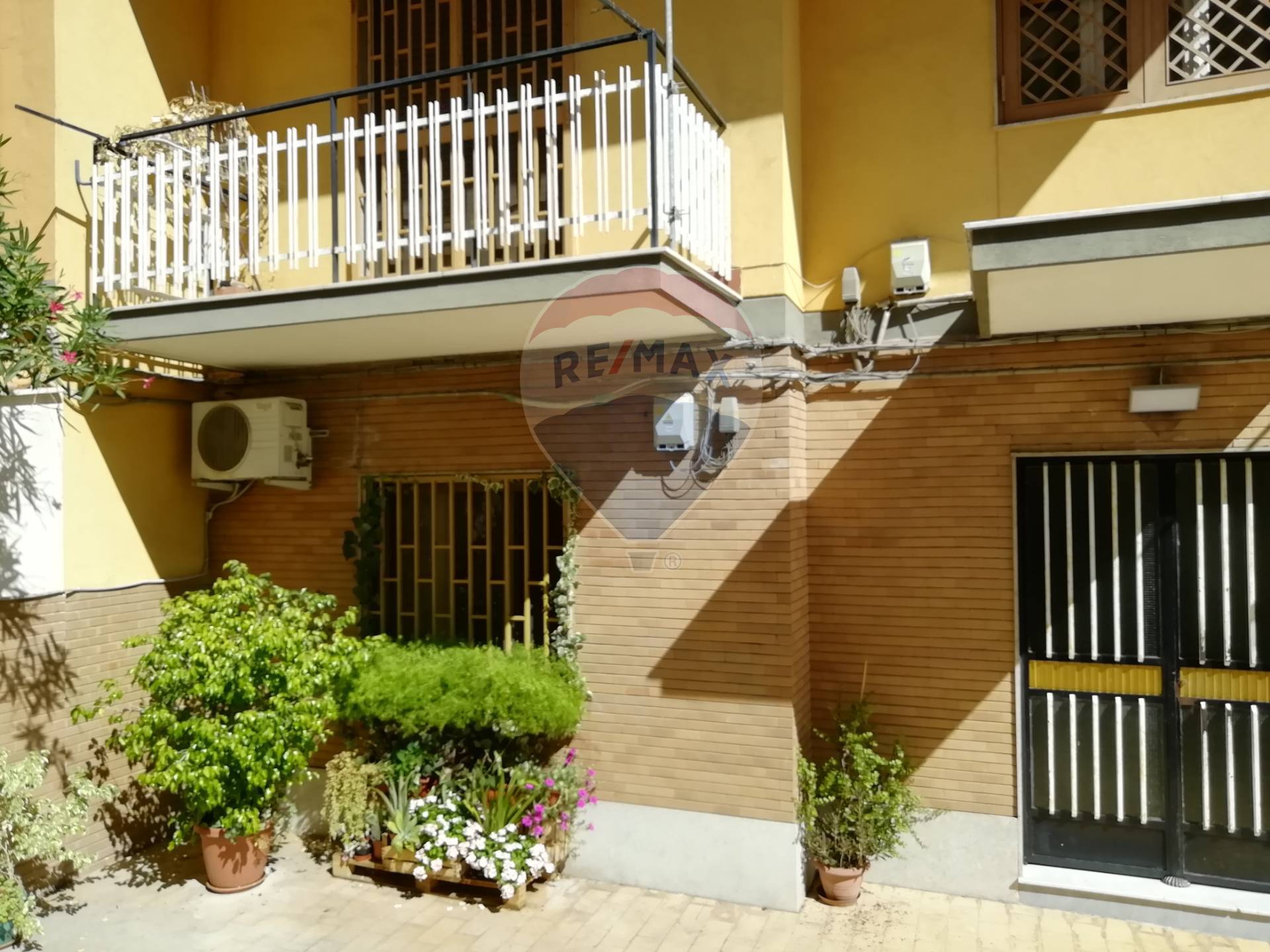 Appartamento CATANIA vendita  Viale Rapisardi  RE/MAX City Home