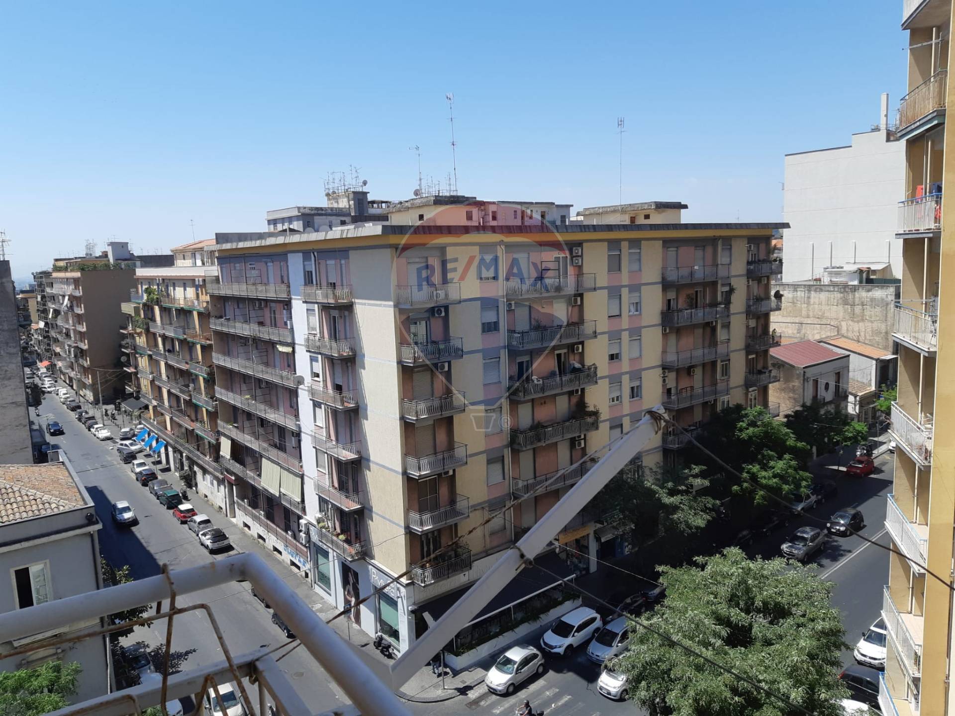 Appartamento CATANIA affitto  Viale Rapisardi  RE/MAX Realizza