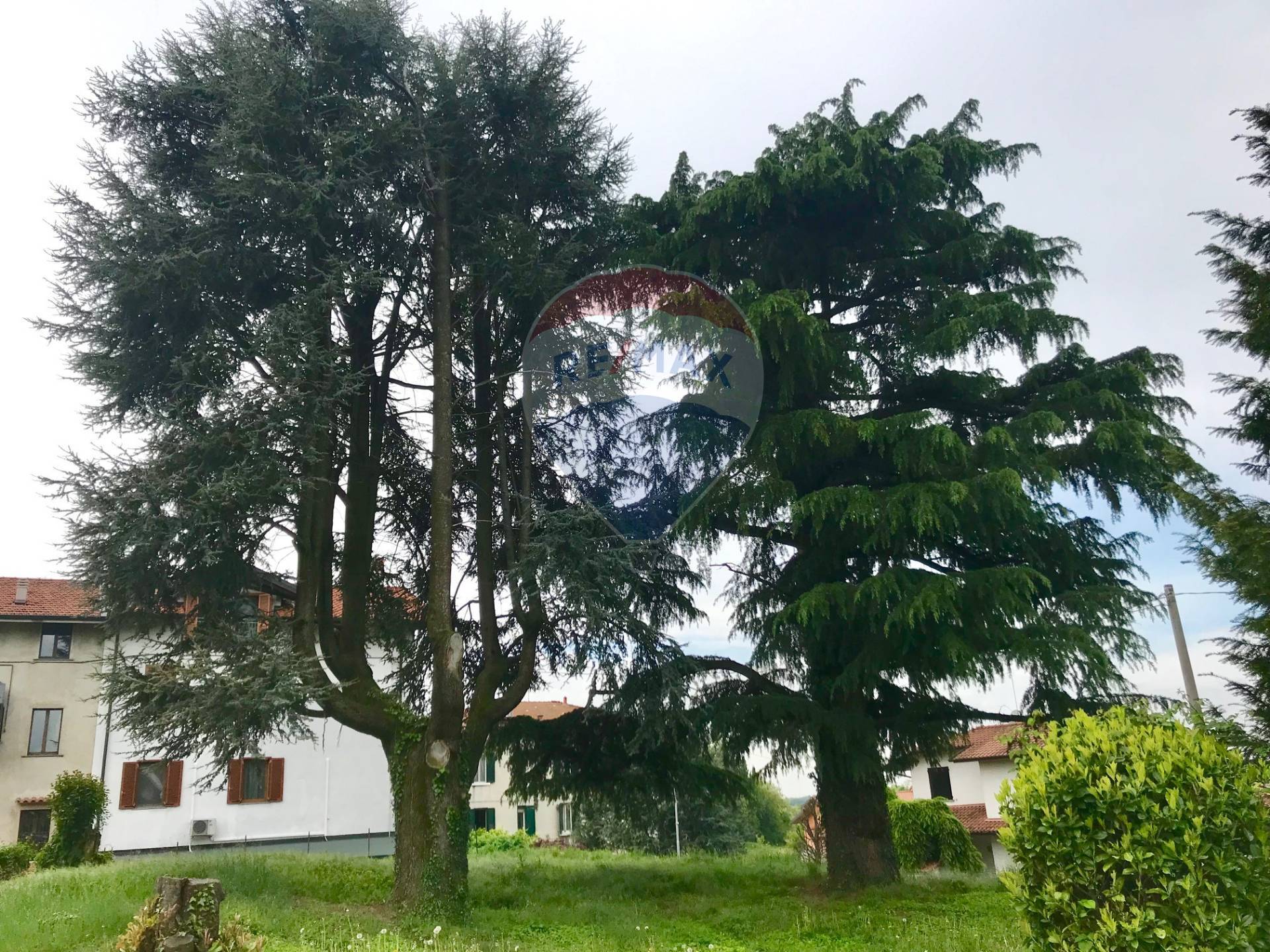 Villa Unifamiliare - Indipendente MEDOLAGO vendita    RE/MAX Expo