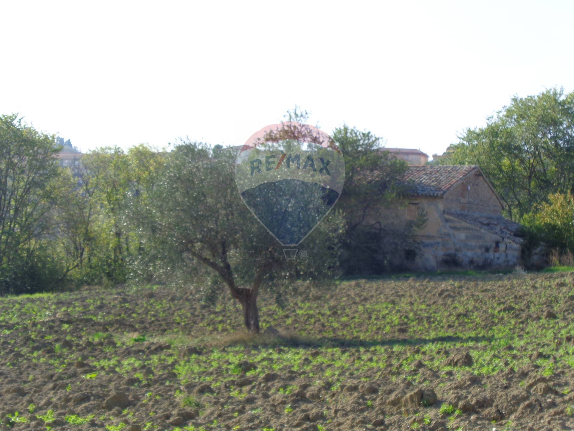 Rustico - Cascina ANCONA vendita  Posatora  RE/MAX Centro Casa