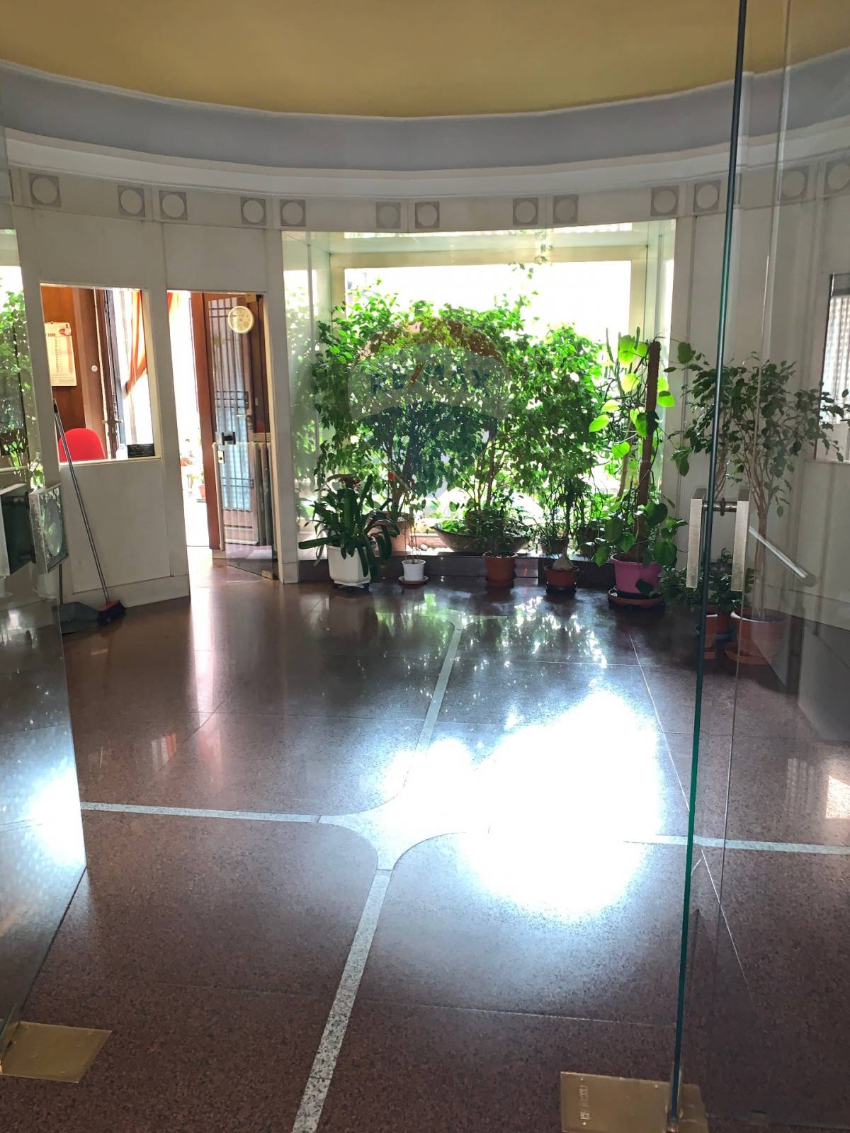 Appartamento TORINO affitto  Centro  RE/MAX Freedom