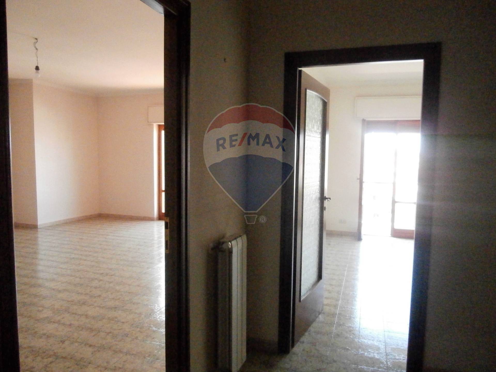 Appartamento CATANIA affitto    RE/MAX Domus Nova