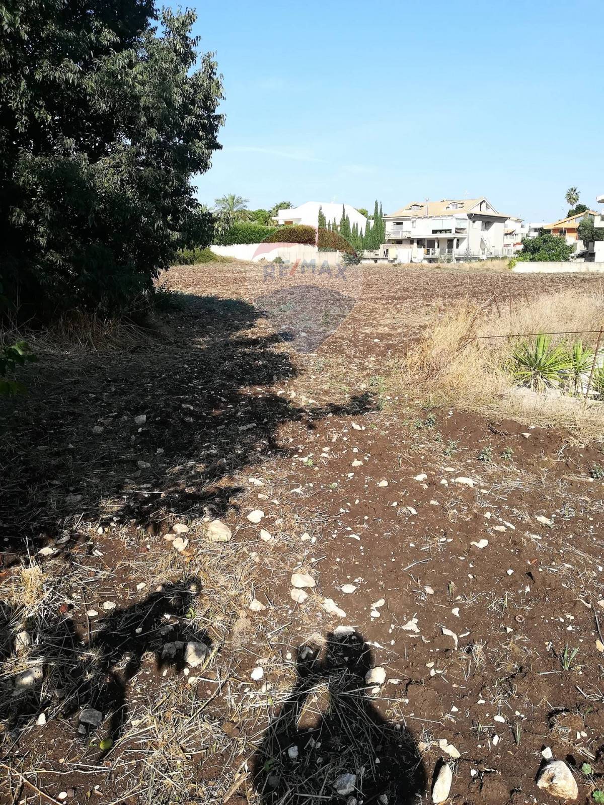 Terreno RAGUSA vendita  Bruscé  RE/MAX Prima Classe