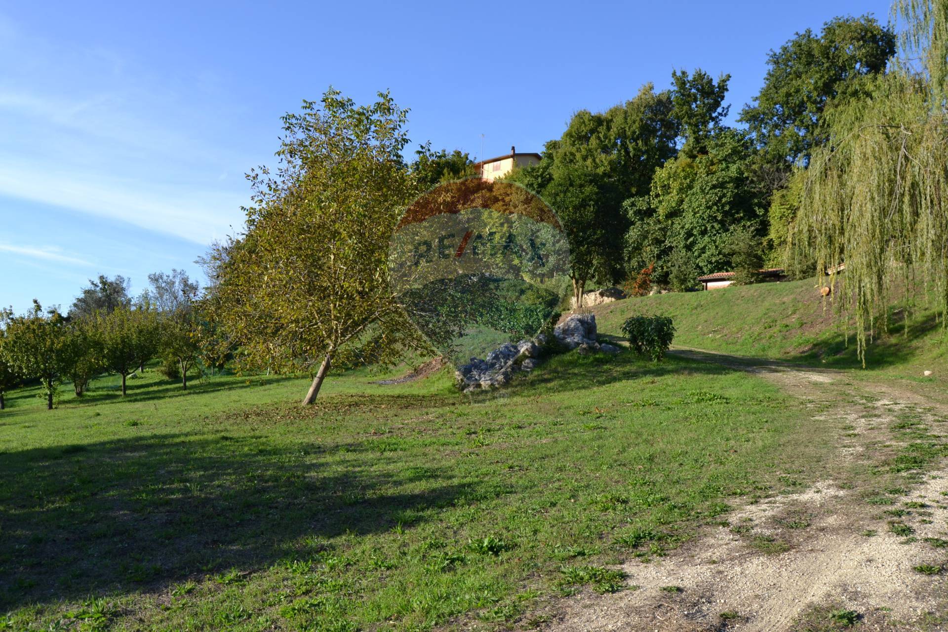 Villa Unifamiliare - Indipendente POGGIO MOIANO vendita  Cerdomare  RE/MAX Titanus
