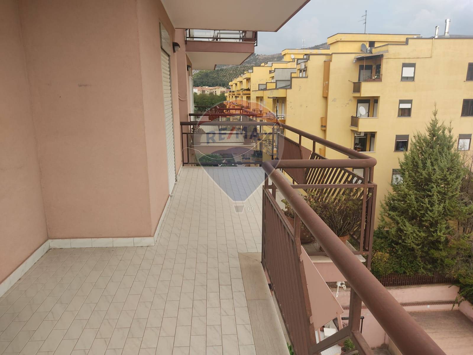 Appartamento CASERTA affitto  Caserta 2 (167)  RE/MAX Divina